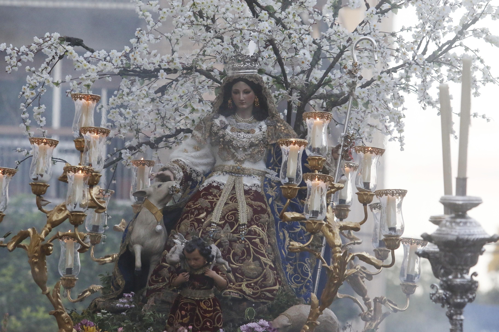 La procesión de la Divina Pastora de Capuchinos de Córdoba, en imágenes