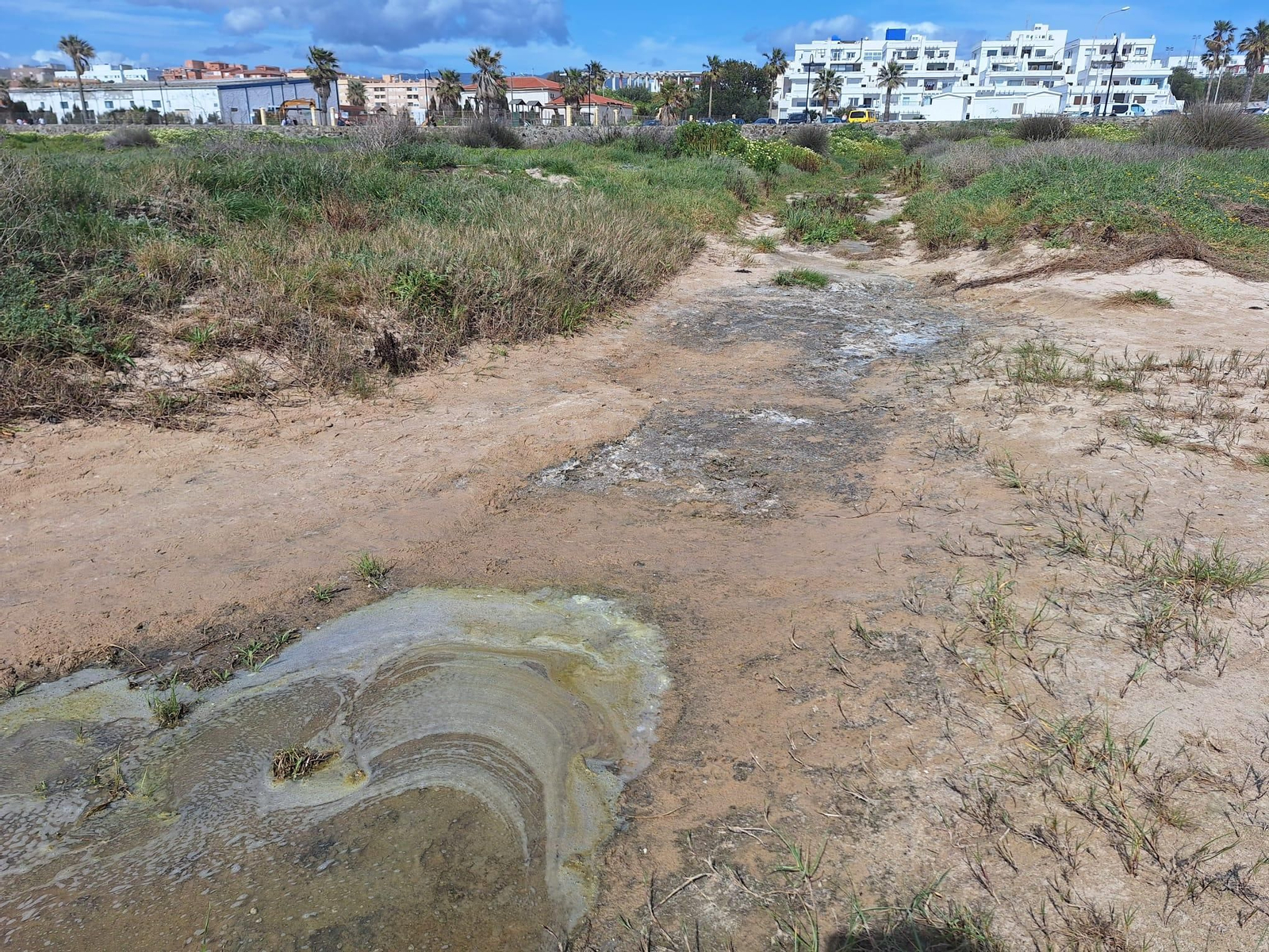 El vertido de aguas fecales en la playa de Los Lances de Tarifa, en imágenes.