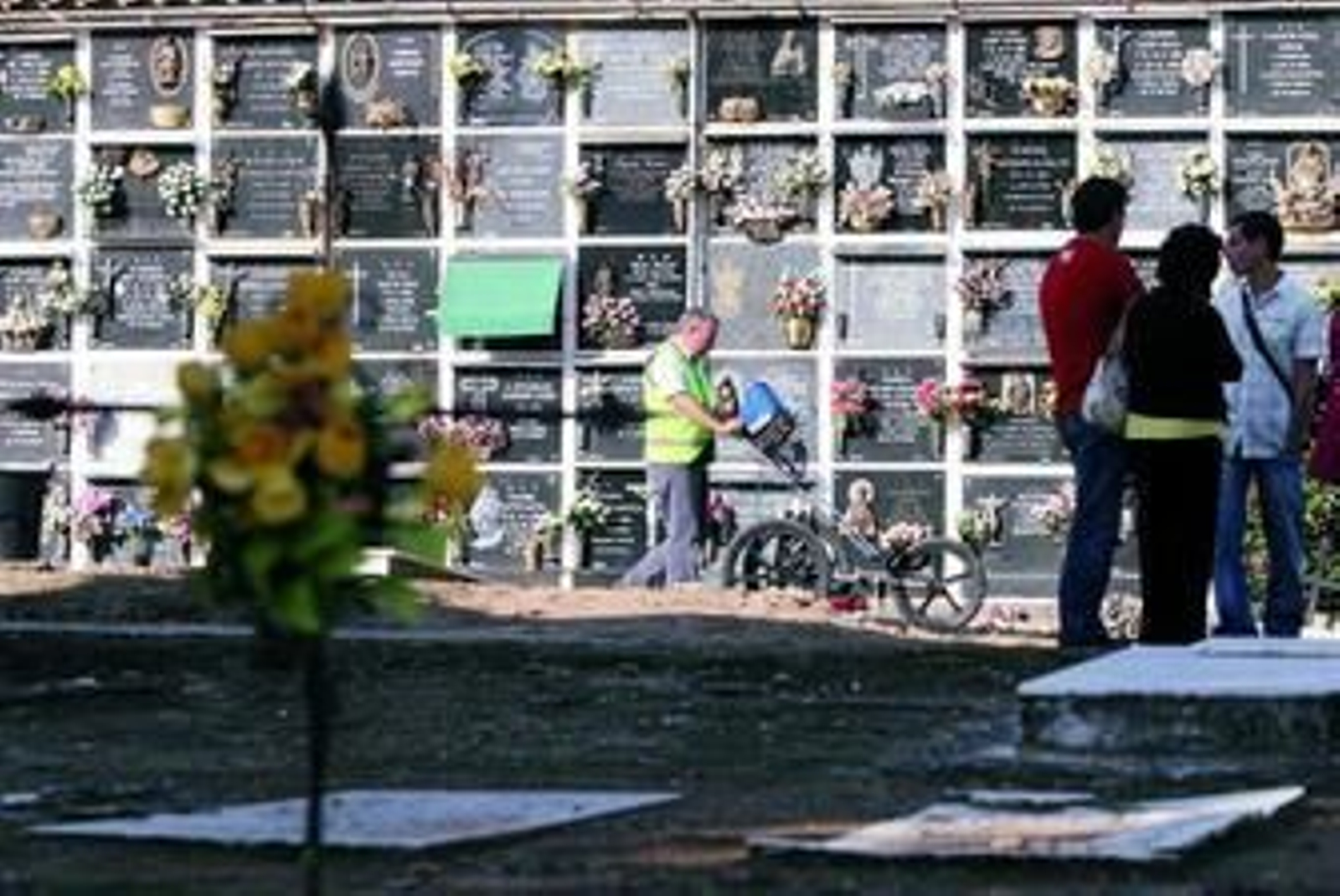 Lugar donde se encuentra la fosa común en La Salud.