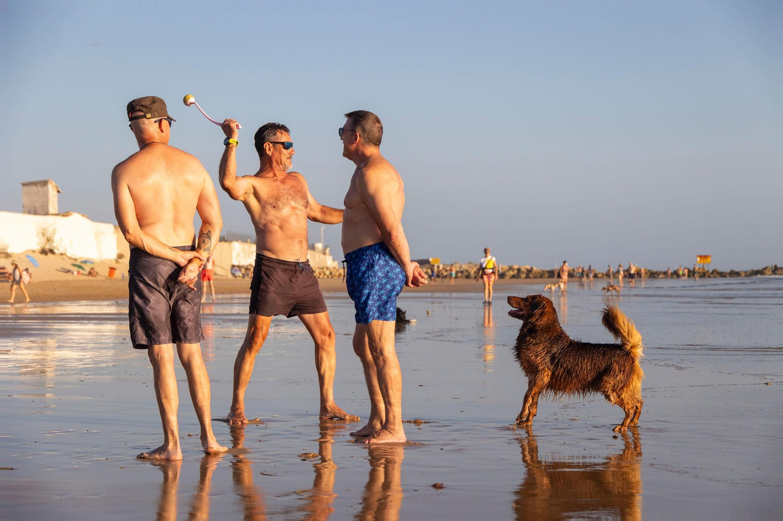 Así disfrutan los perros y sus dueños en la playa canina de Cádiz