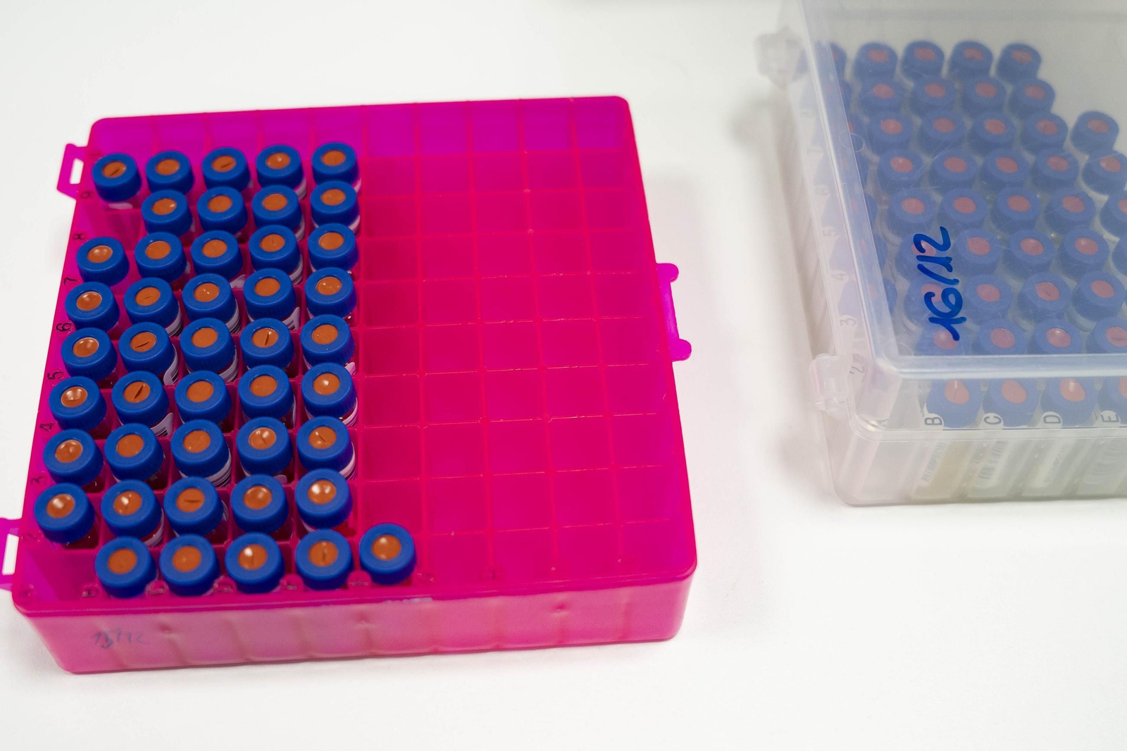 CIT COEX abre sus puertas al futuro: innovación, conocimiento y territorio