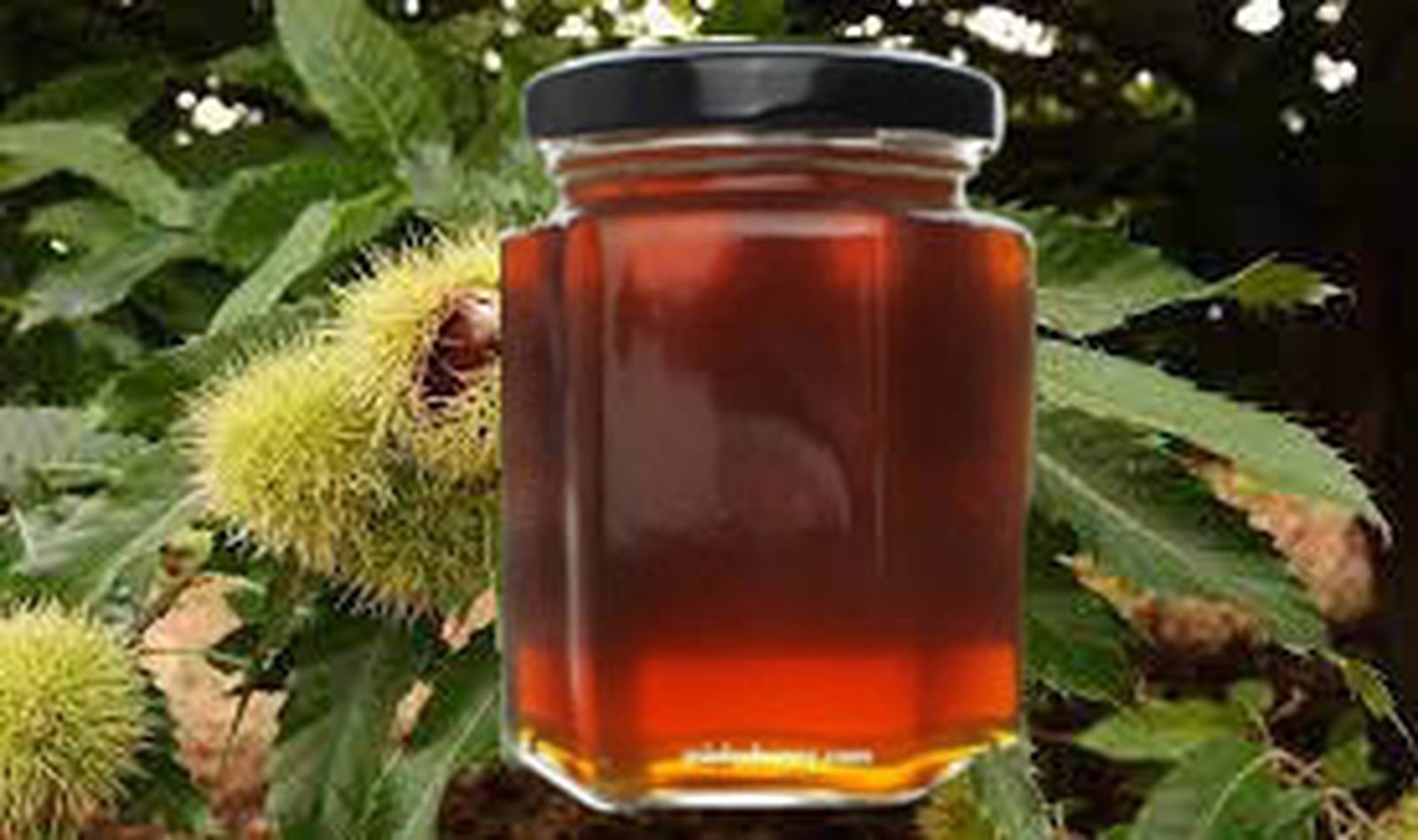 La miel de castaño con jalea real y propóleo es capaz de inducir la muerte programada de células hepáticas tumorales