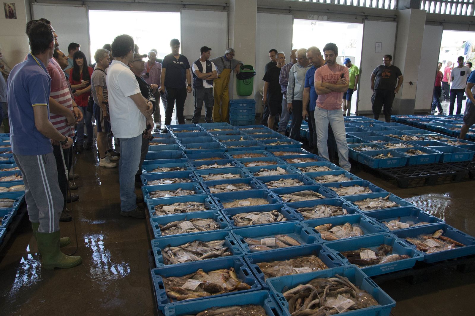 La lonja de Caleta de Vélez.