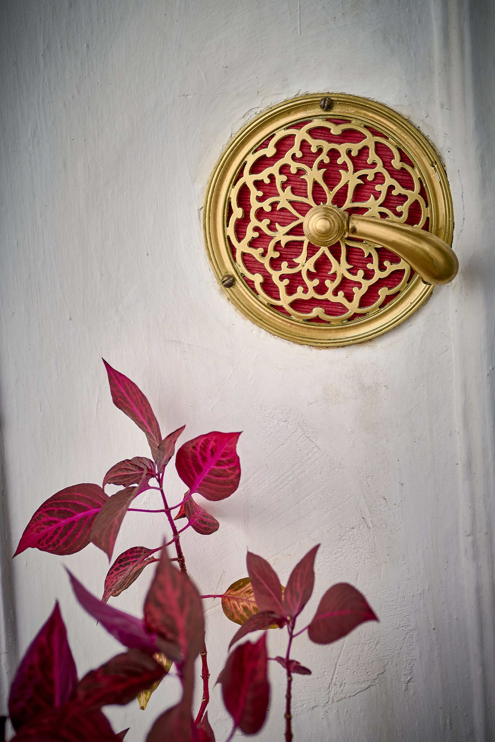 Interior de la finca en Antonio López 7.