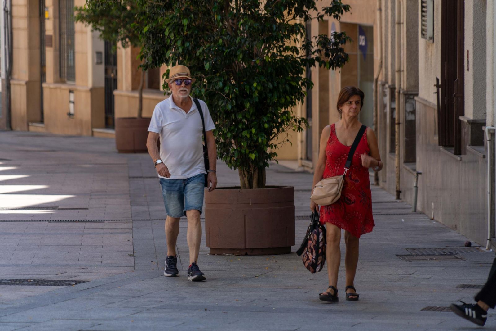 La Plaza Quintero Báez, espacio peatonal, arbolado y punto de encuentro urbano.