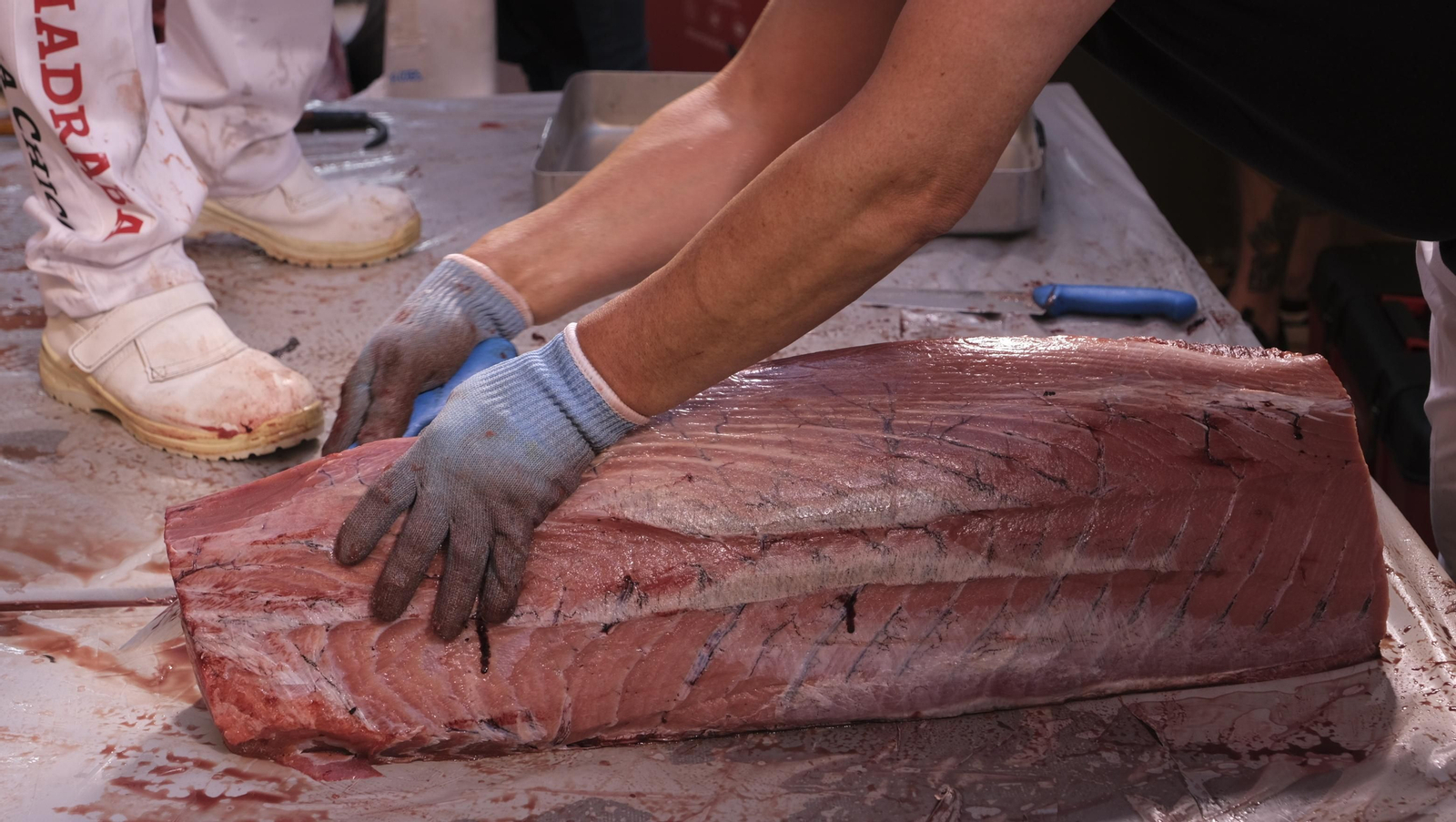 Jornadas del ronqueo del atún rojo de almadraba, en el Espacio Gastrómico Tony García.