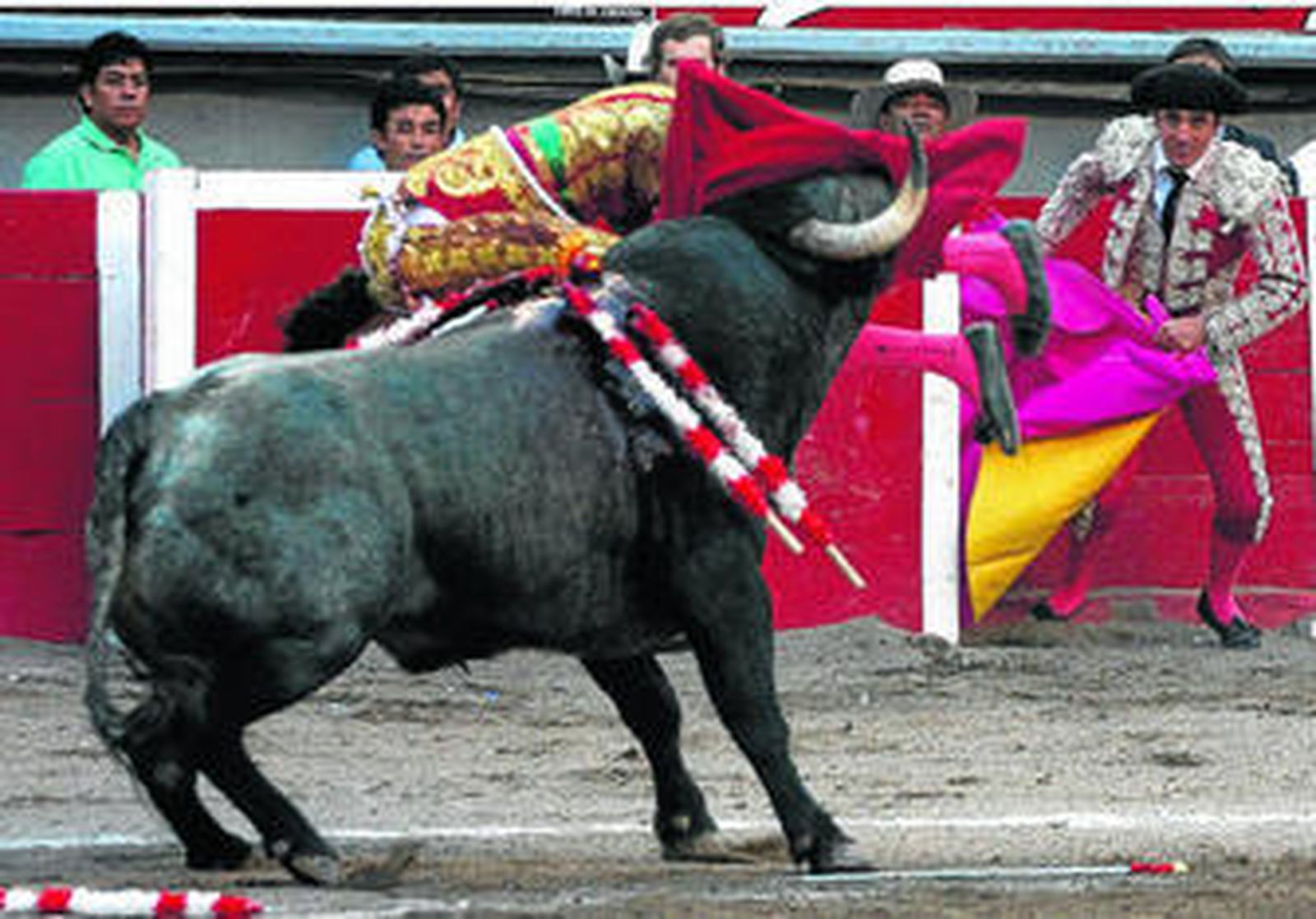 La cornada de 'Navegante' a José Tomás