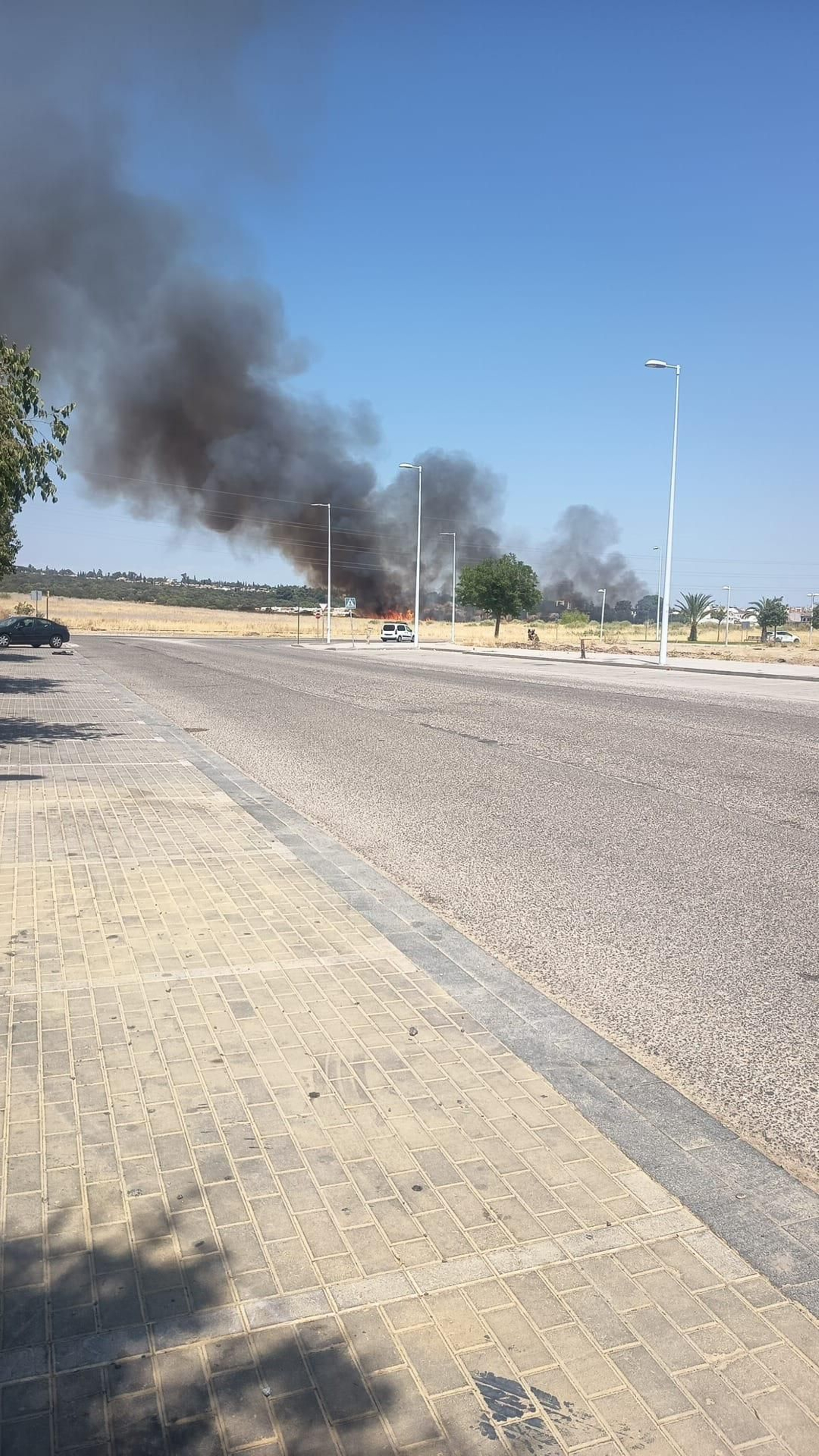 Incendio de pastos.