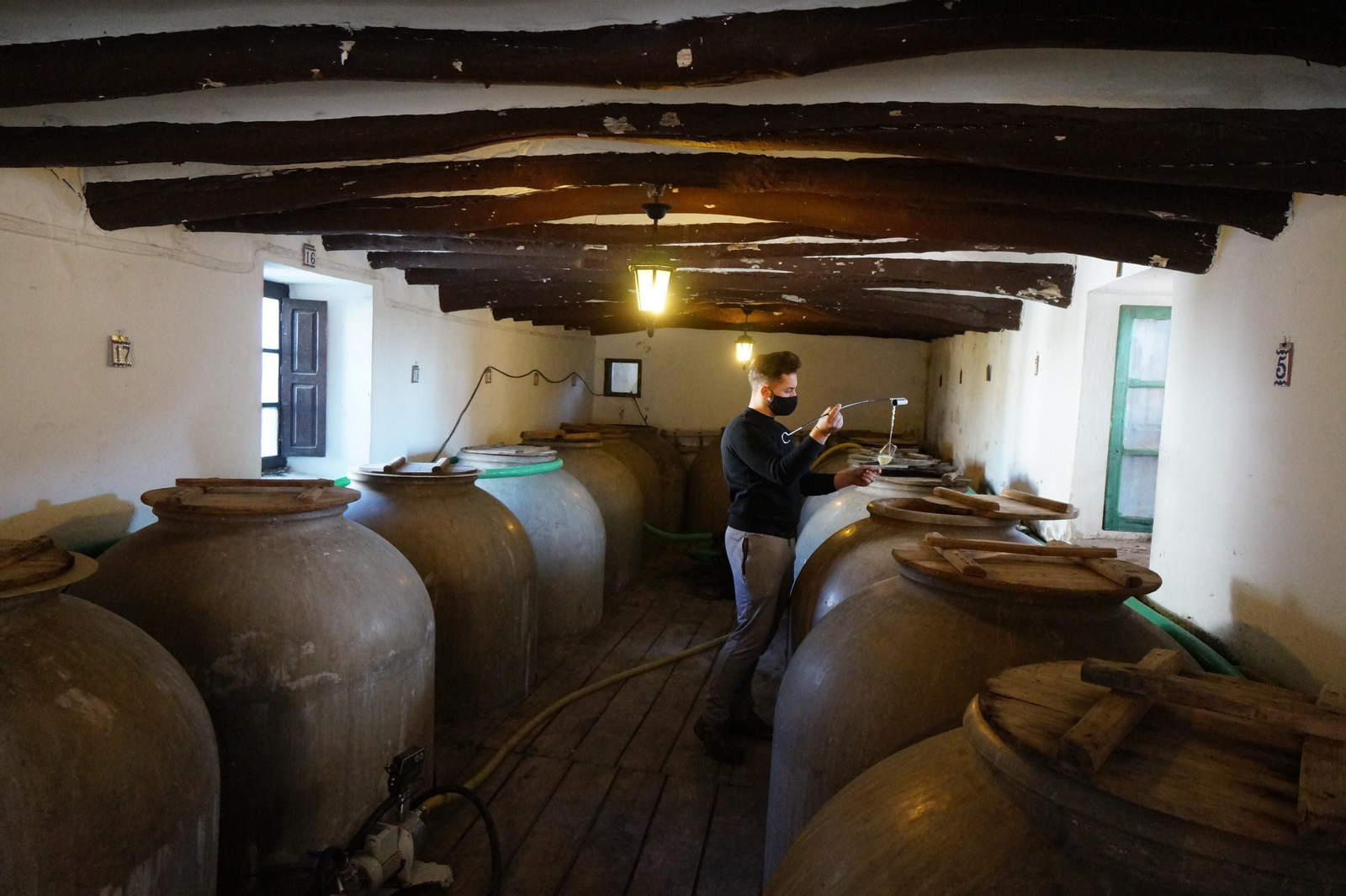 Un recorrido en fotografías por el vino nuevo de Moriles