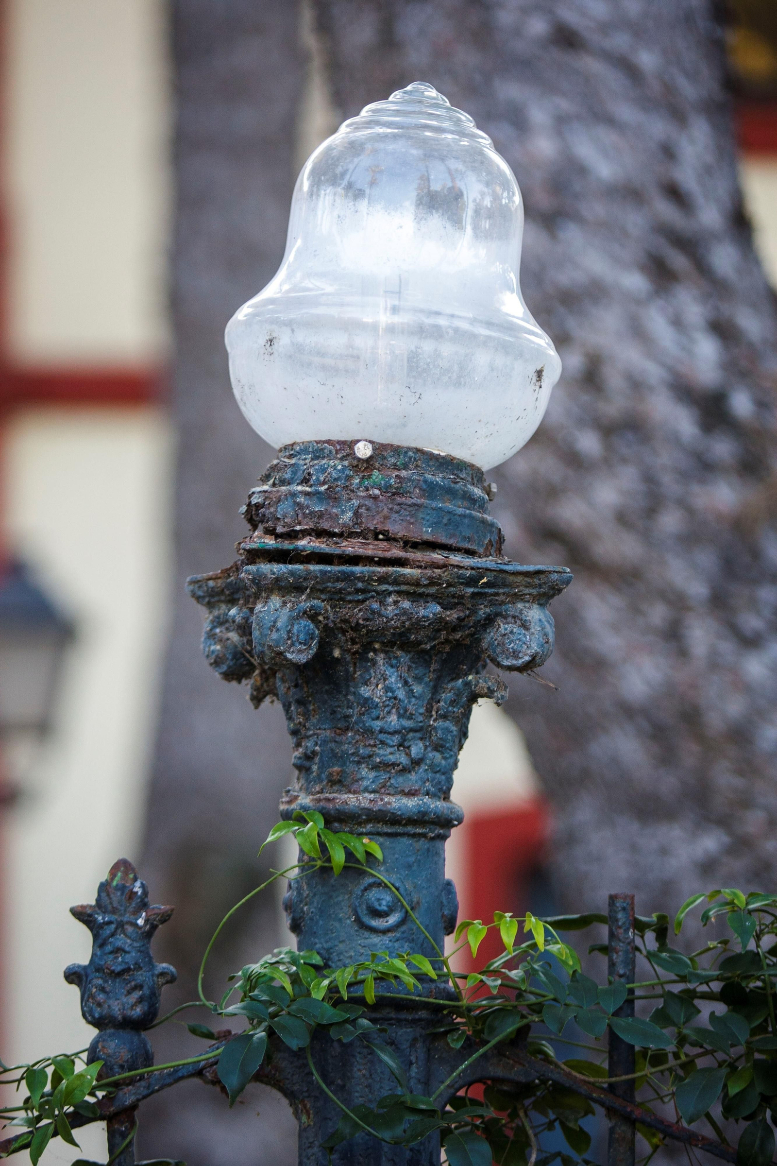 Imágenes del mal estado del Parque Genovés de Cádiz