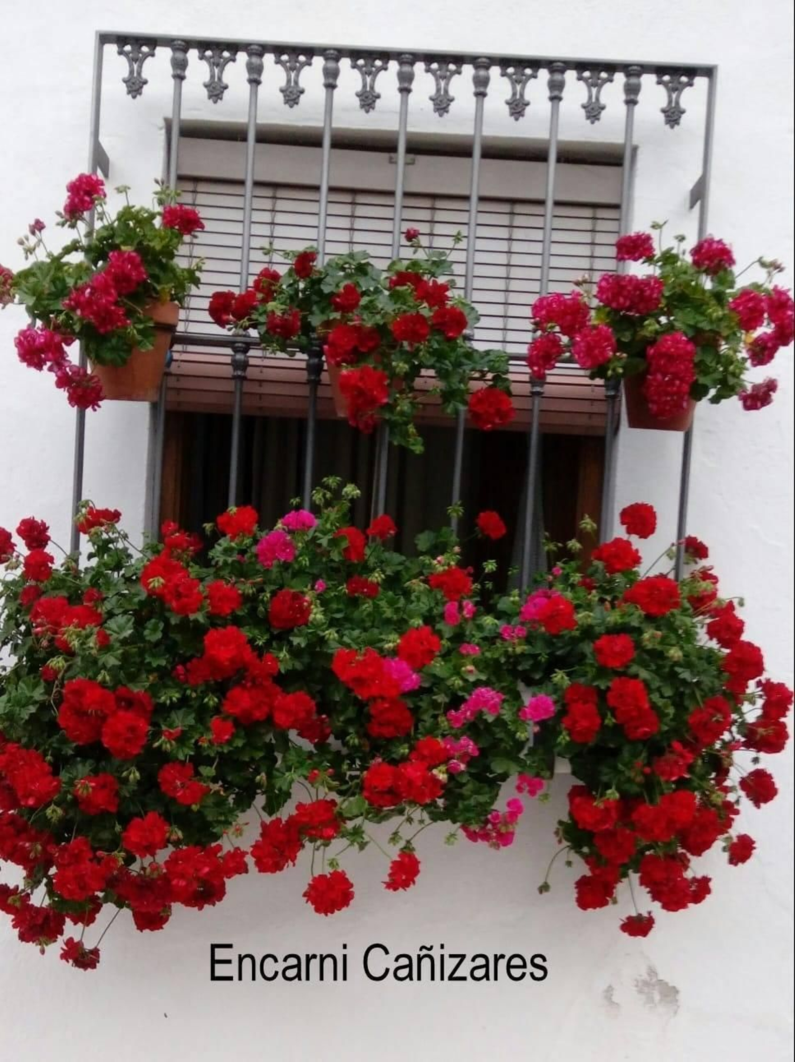 Fotografías de cómo lucen los patios, balcones y rejas de Iznájar.