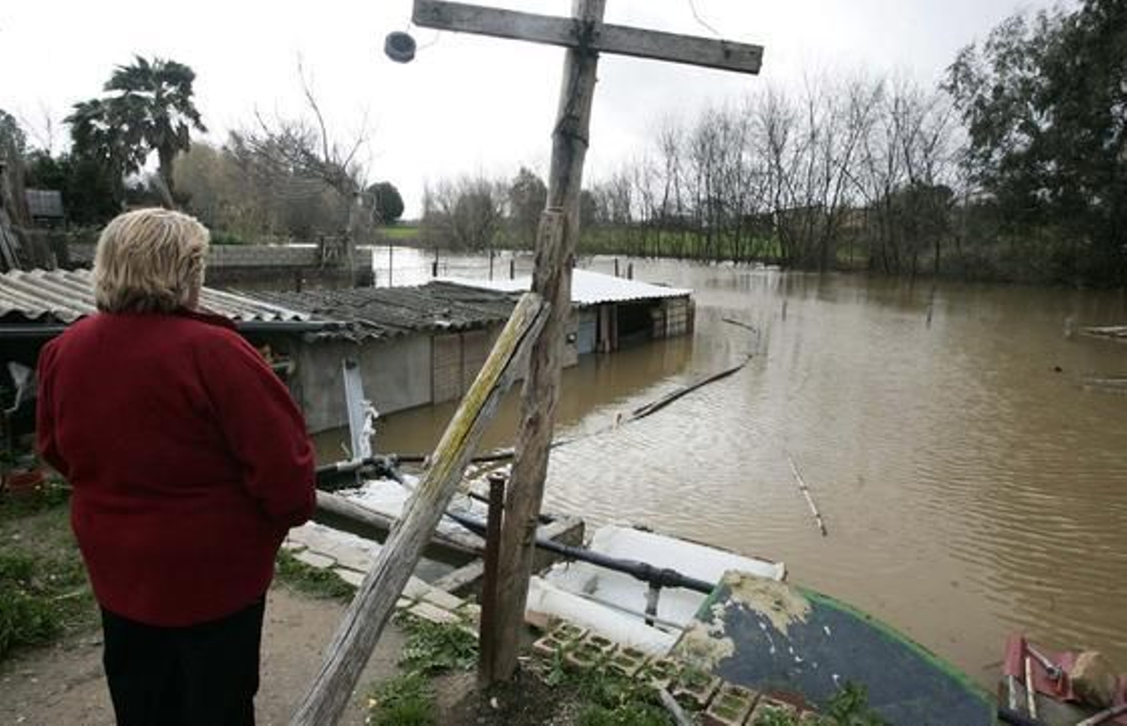 La crecida del río Gualdaquivir inunda algunas zonas de la provincia.