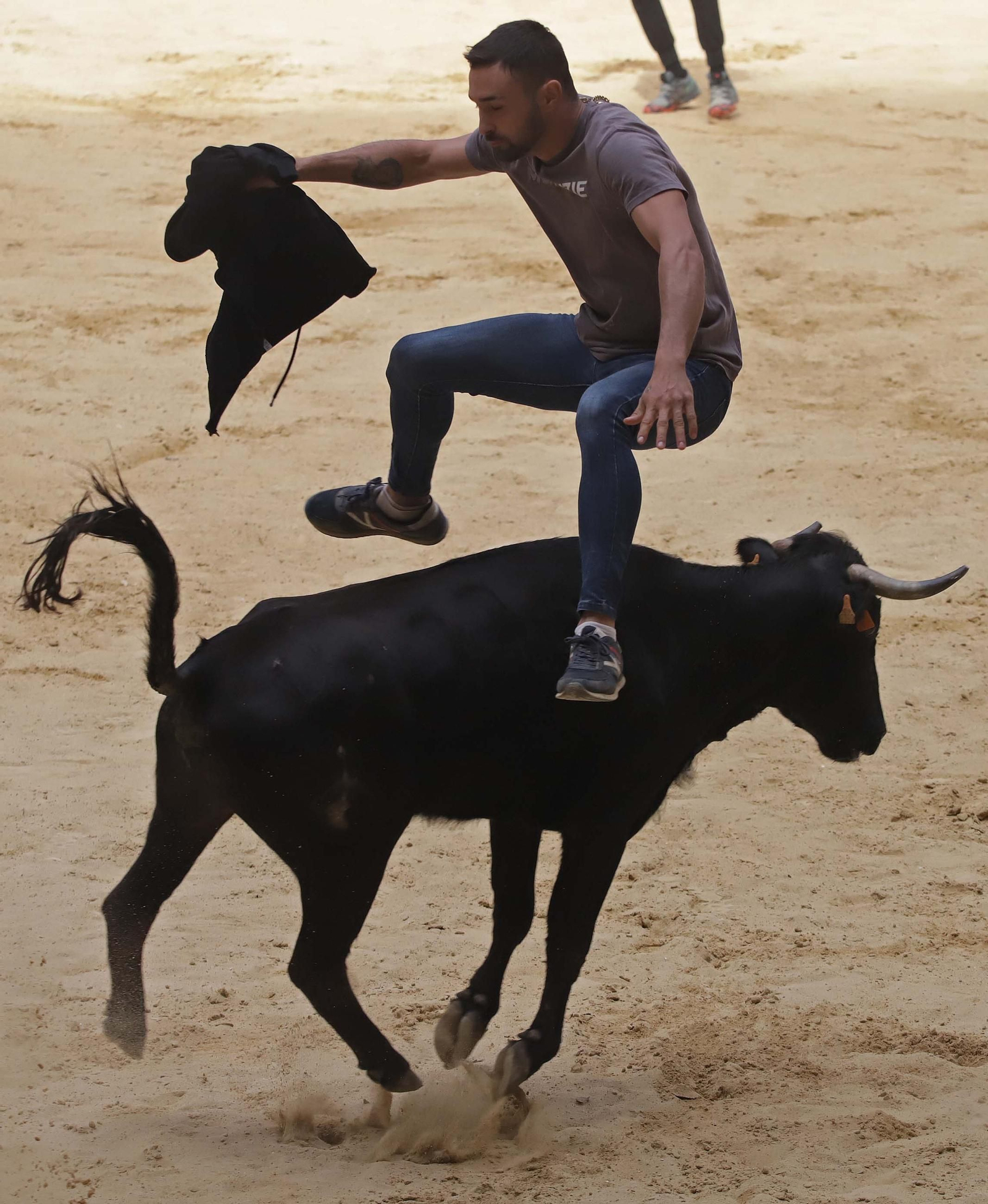 Fotos de los encierros del domingo del Toro Embolao en Los Barrios