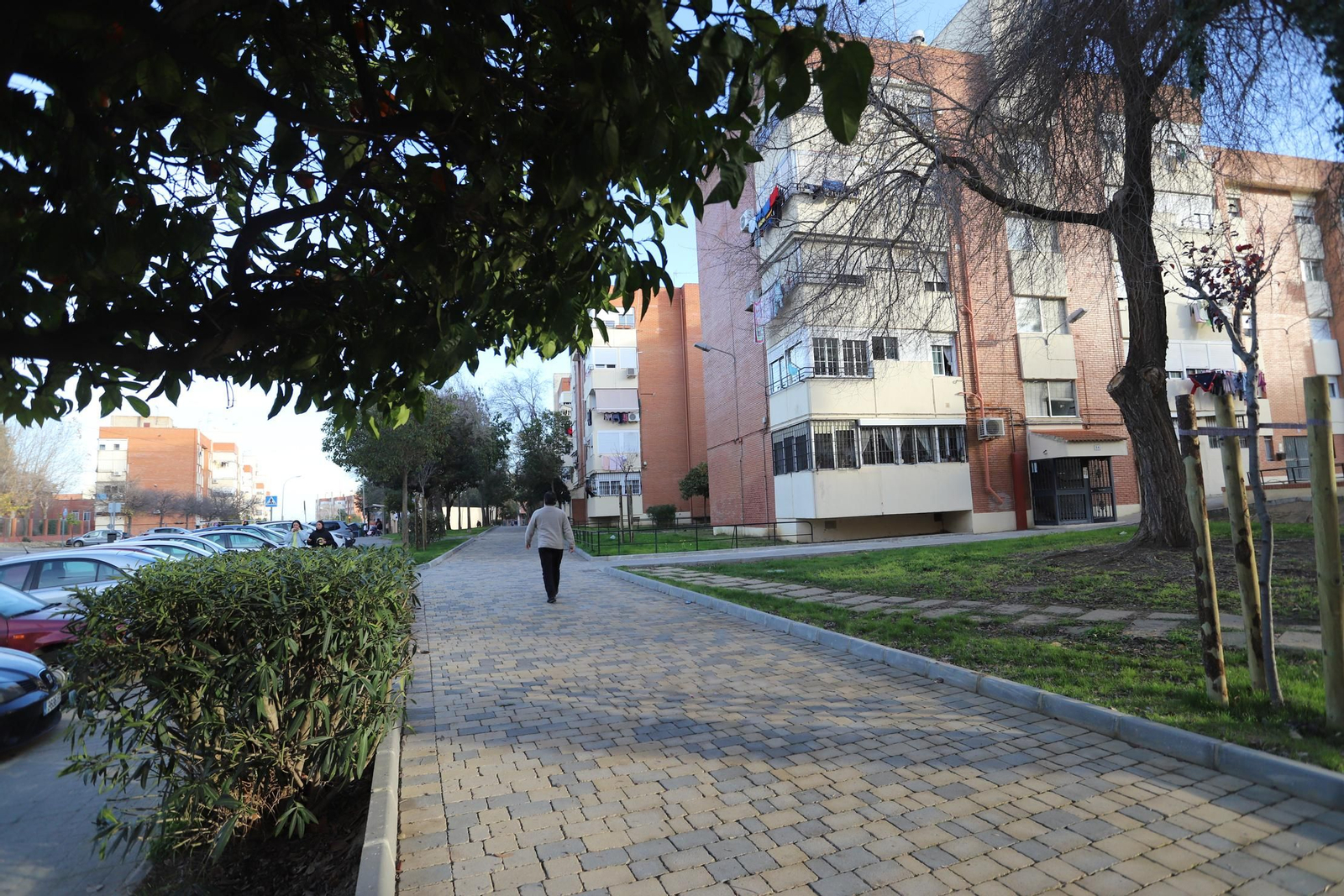 Imágenes de remodelación del área peatonal de Santa Marta