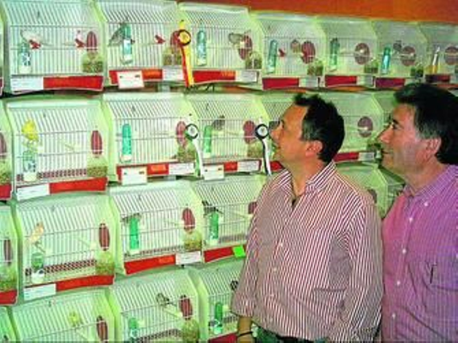 Pedro Ramos -a la izquierda- observa parte de los ejemplares expuestos en la Casa de la Cultura.