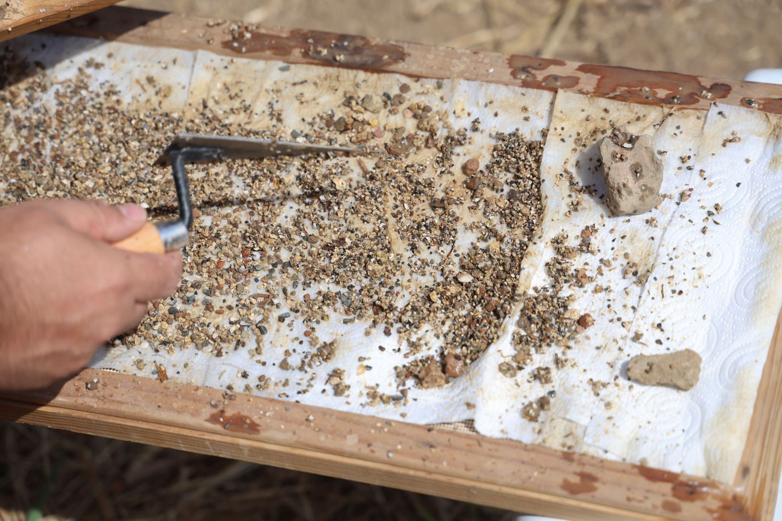 La excavación arqueológica de Cerro del Villar, en imágenes