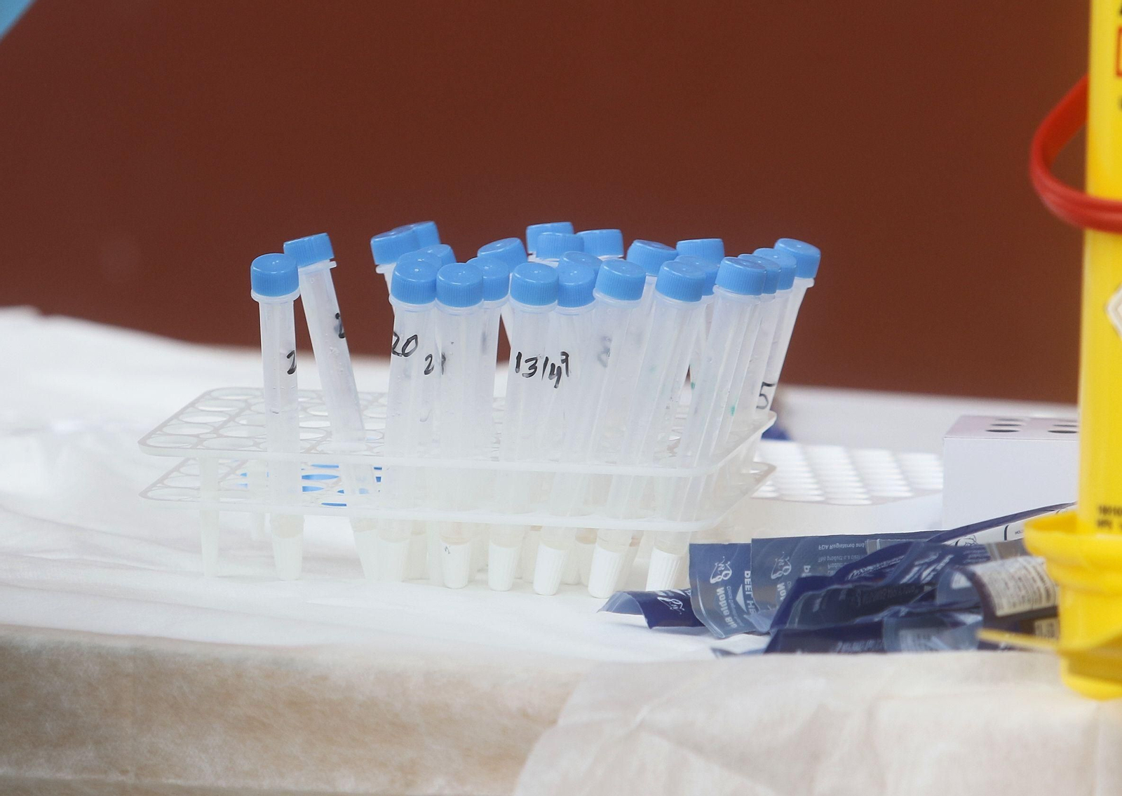 El cribado masivo de covid-19 en Lucena, en fotografías