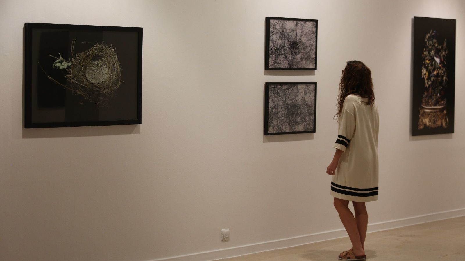 Algunas obras de la muestra.