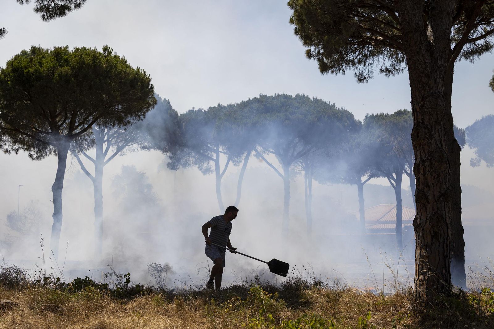 Las imágenes del fuego de la carretera de la Barrosa, con casas afectadas