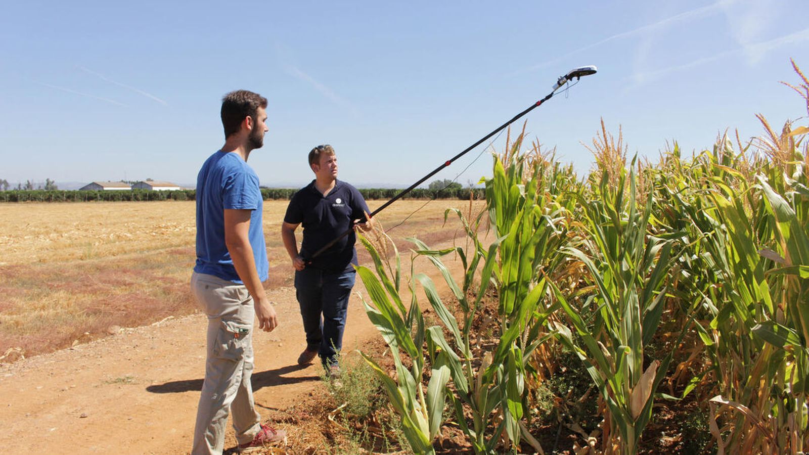 Las nuevas tecnologías ya se están introduciendo en el sector agrario para el seguimiento de los cultivos.