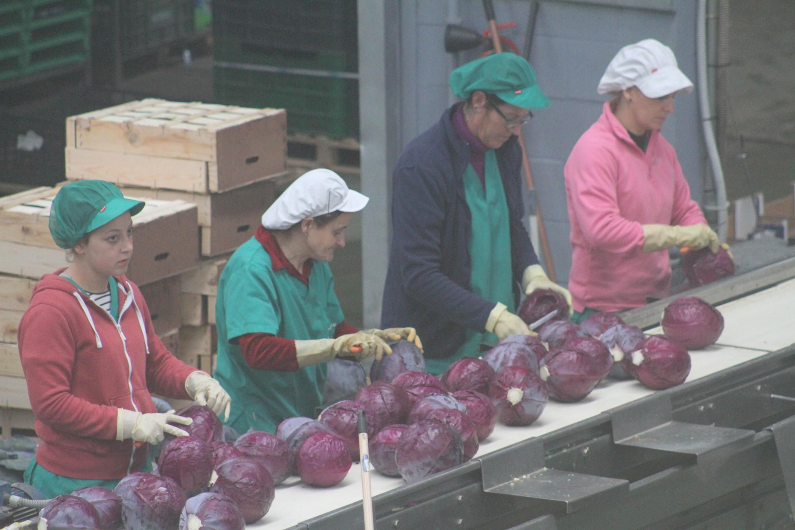 Actos con motivo del 8-M en la provincia