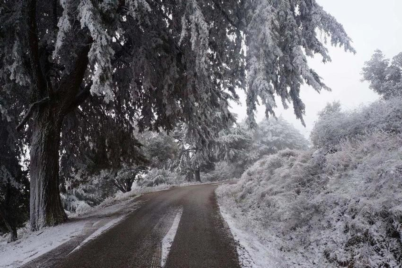 Así de nevada despertaba la Sierra de Aracena con el paso de la borrasca 'Filomena'