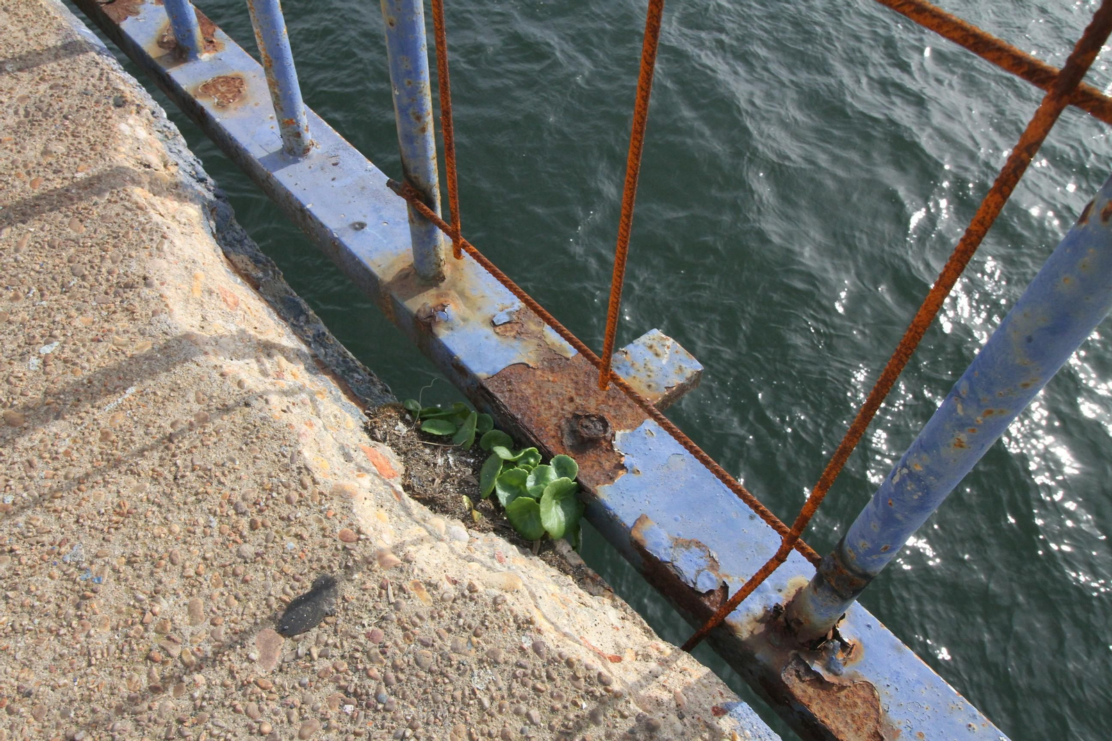 Imágenes del mal estado del puente Sifón.