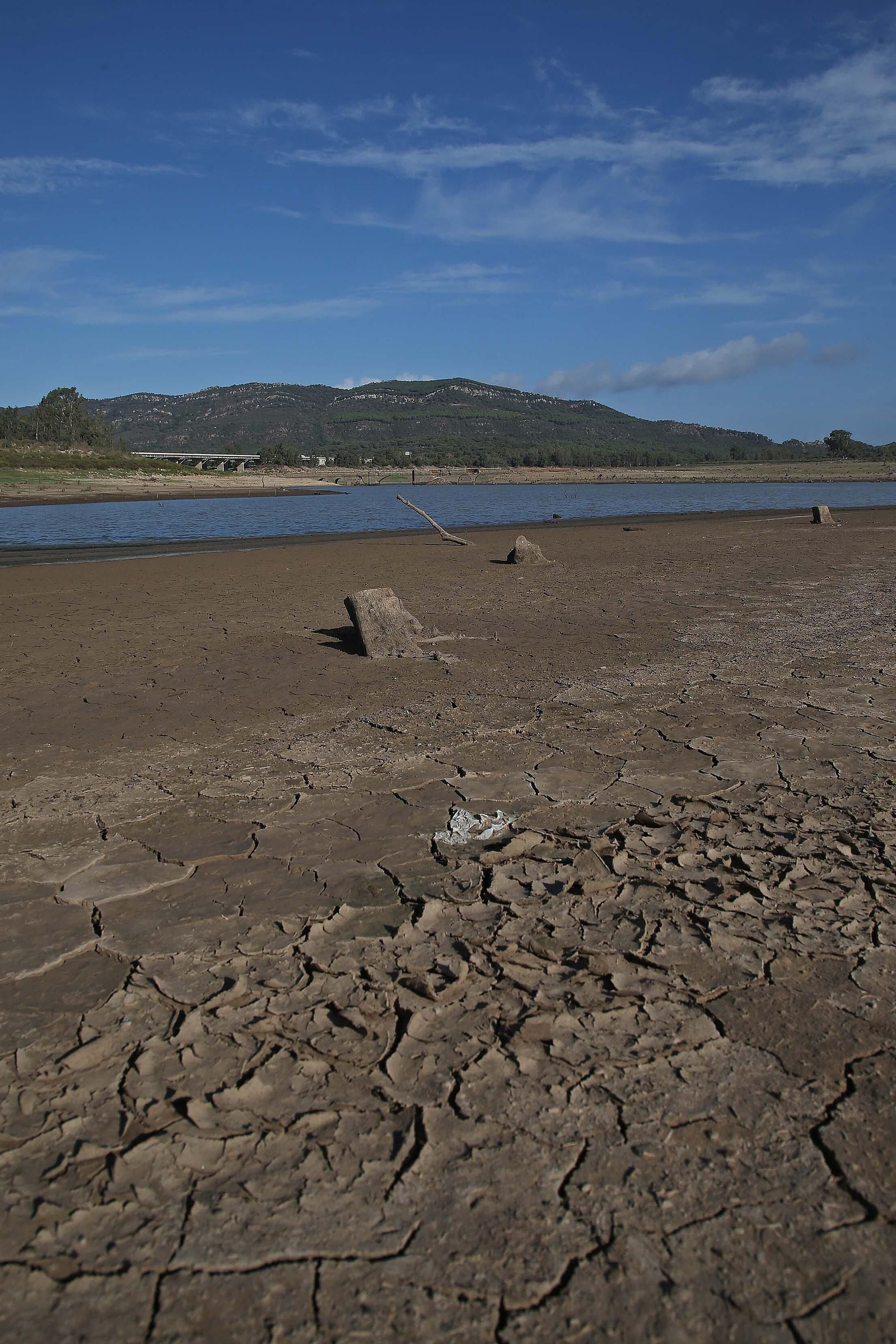 Imágenes del pantano de Charco Redondo en Los Barrios