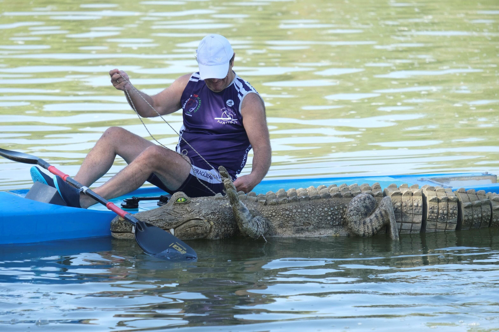 La ruta del caimán por el río Guadalquivir, en imágenes