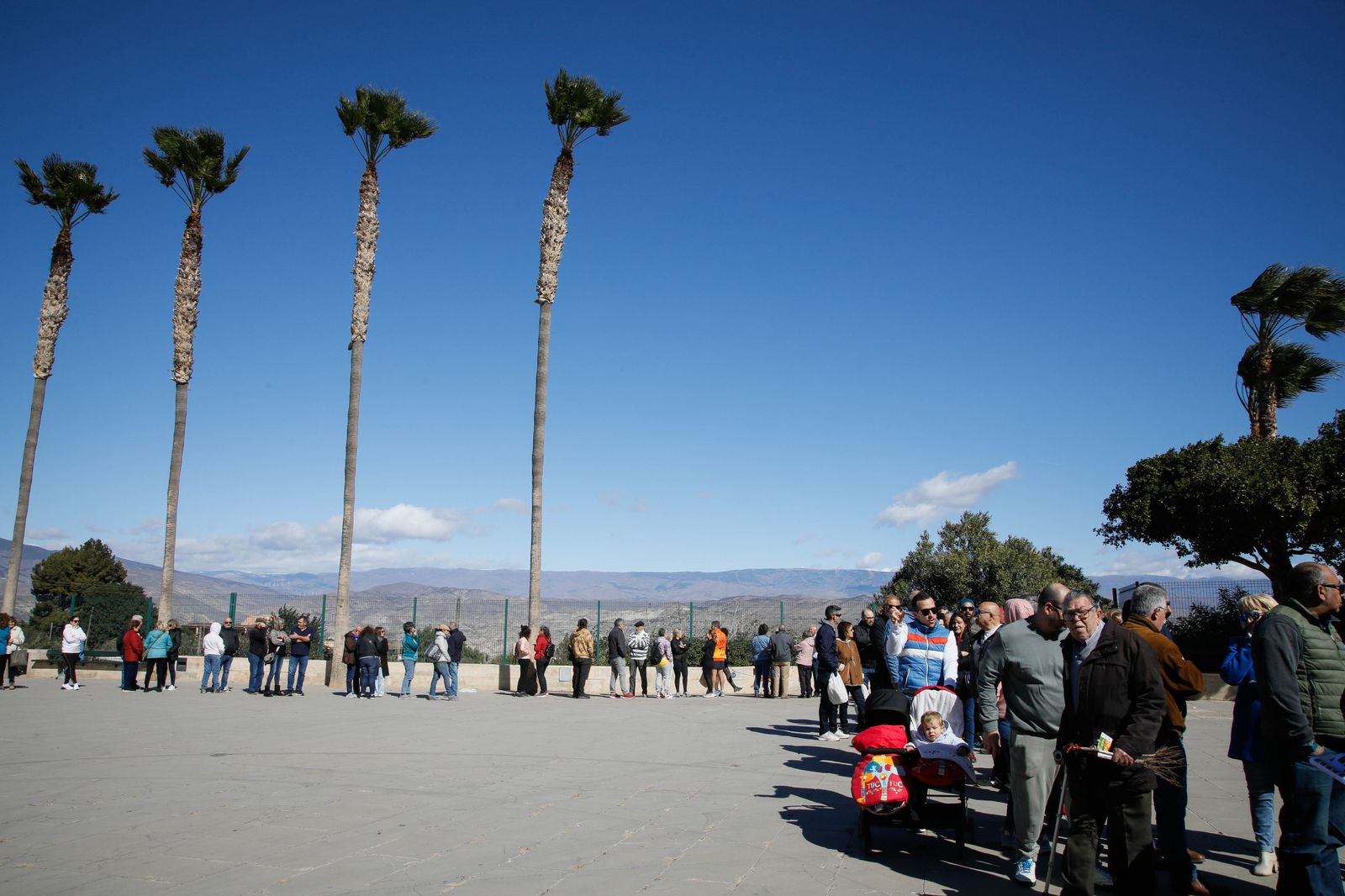 Imágenes del reparto de Parras en Alhama de Almería