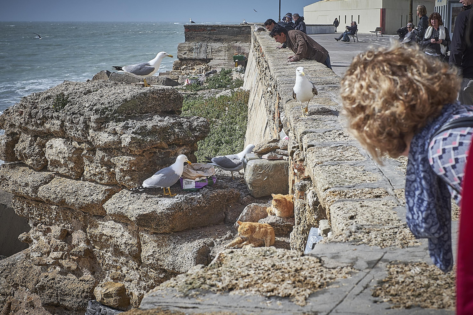 Estado de las murallas de la ciudad después del temporal