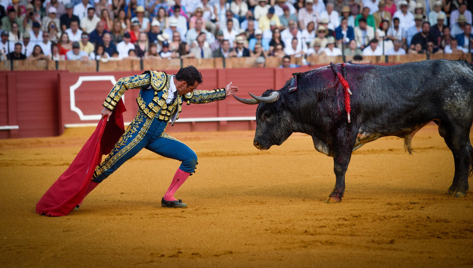 Las imágenes de la corrida de toros de El Fandi, Manuel Escribano y Esaú Fernández