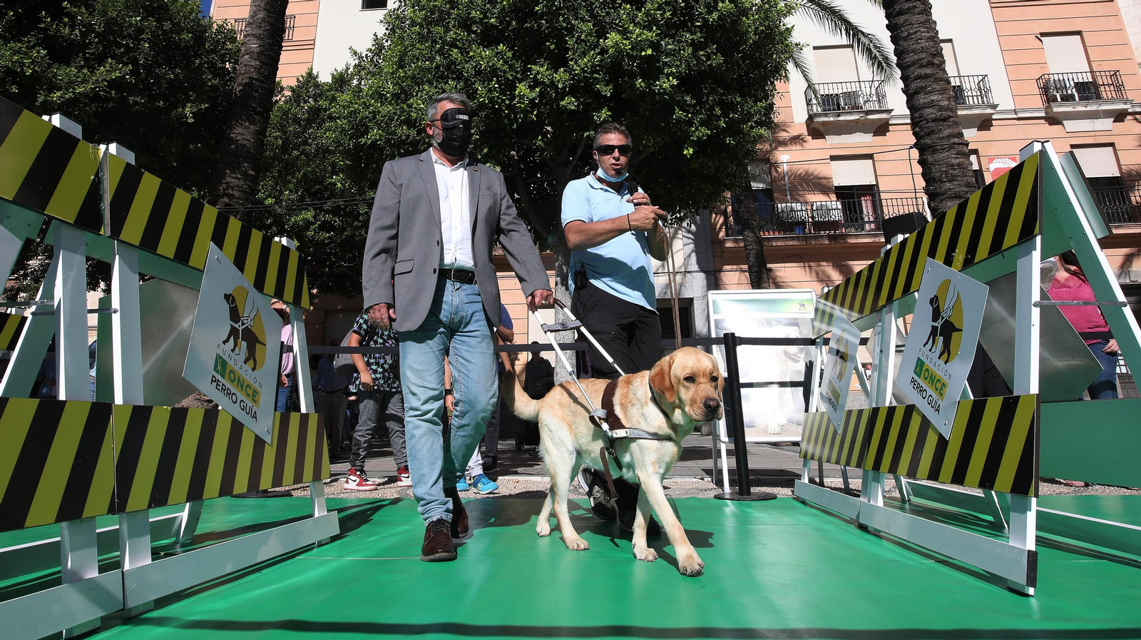 Exhibición en la plaza del Arenal del adiestramiento de perros guía de la ONCE