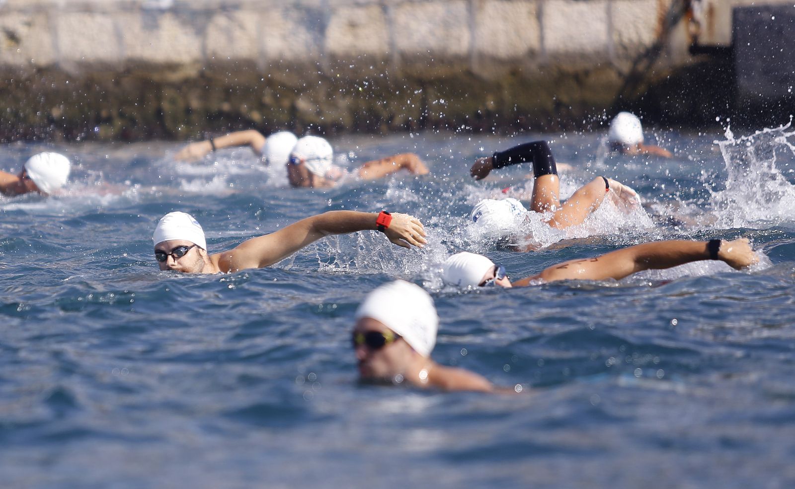 Fotos de la 60ª Travesía a Nado del Puerto de Málaga