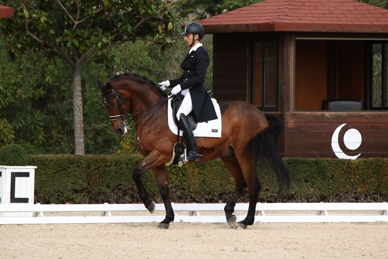 Jaime Sastre, en concurso en Las Dunas Polo & Dressege Club.