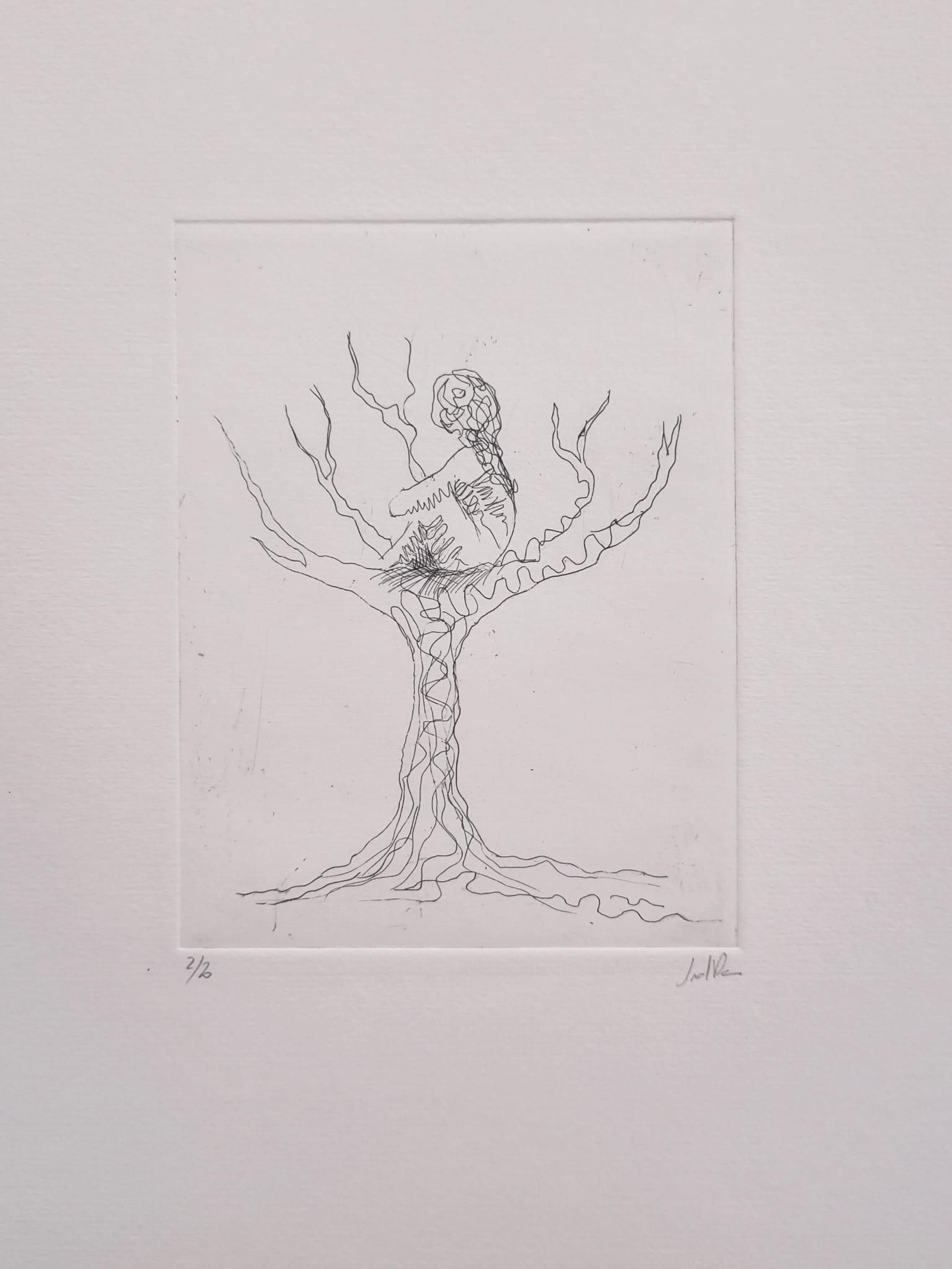 Obra de Indra Monrové.