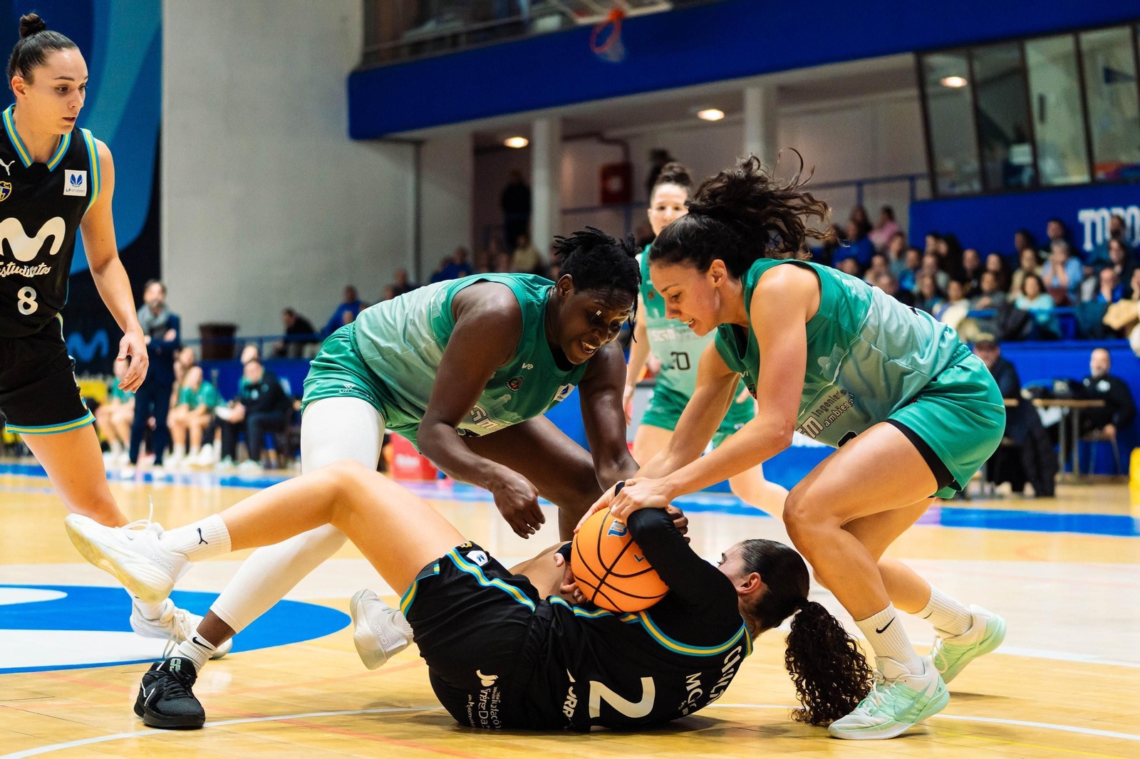 El CAB Estepona da vida al Movistar Estudiantes (85-60)