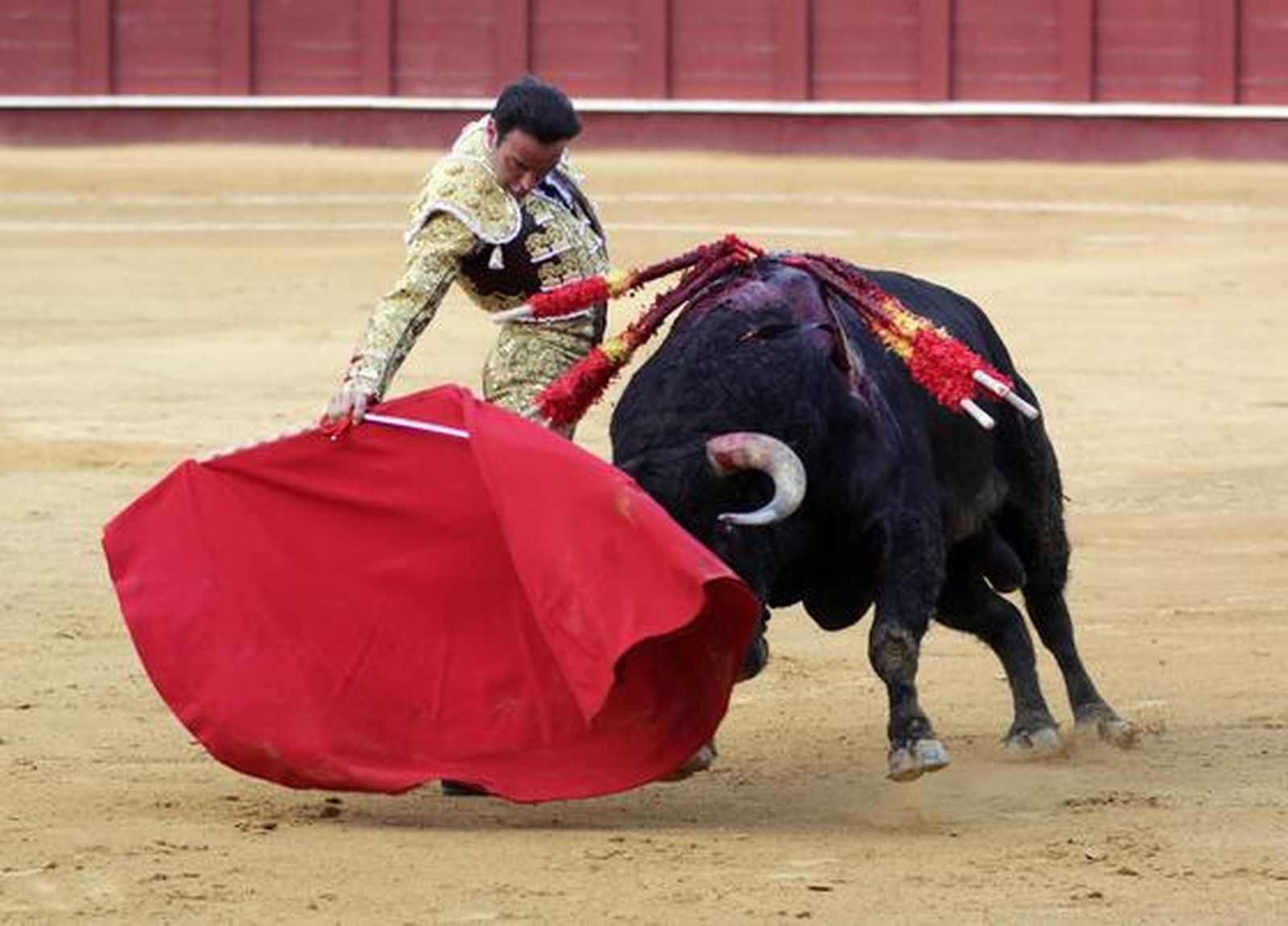 Enrique Ponce y José María Manzanares abrieron la puerta grande de Manolo Segura. Conde pasó inadvertido. 

Foto: Migue Fernandez