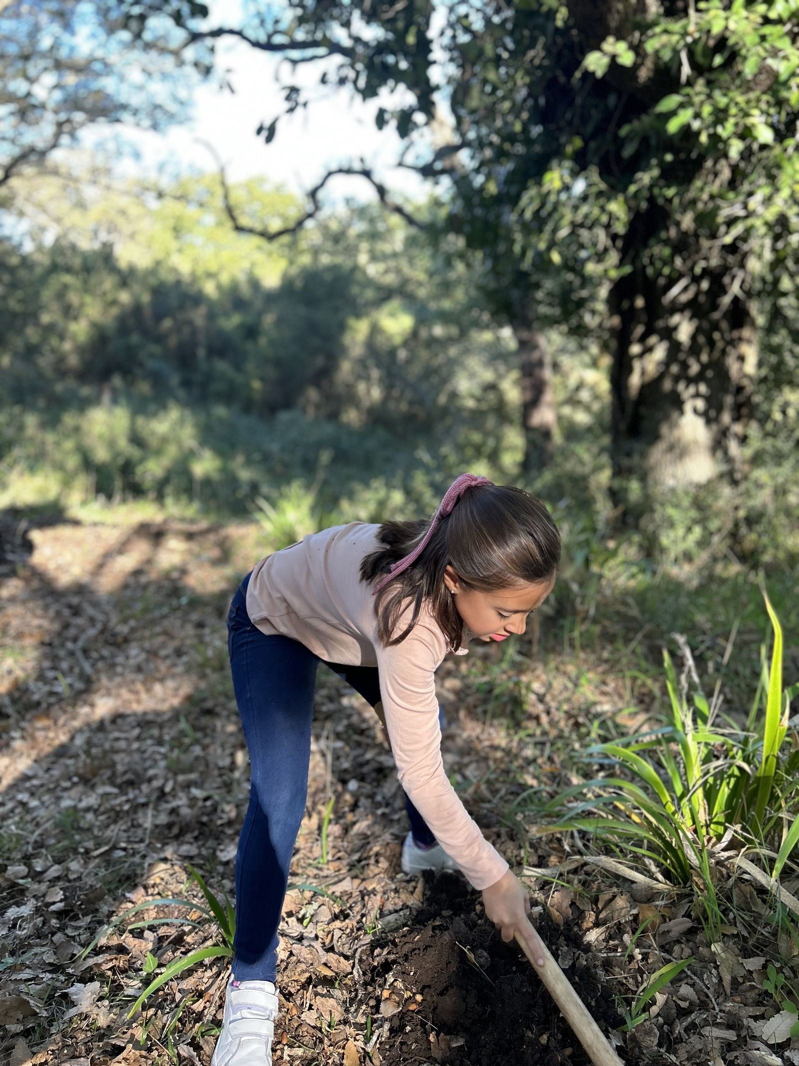 Jornada de reforestación en El Palancar por trabajadores de Acerinox, en imágenes