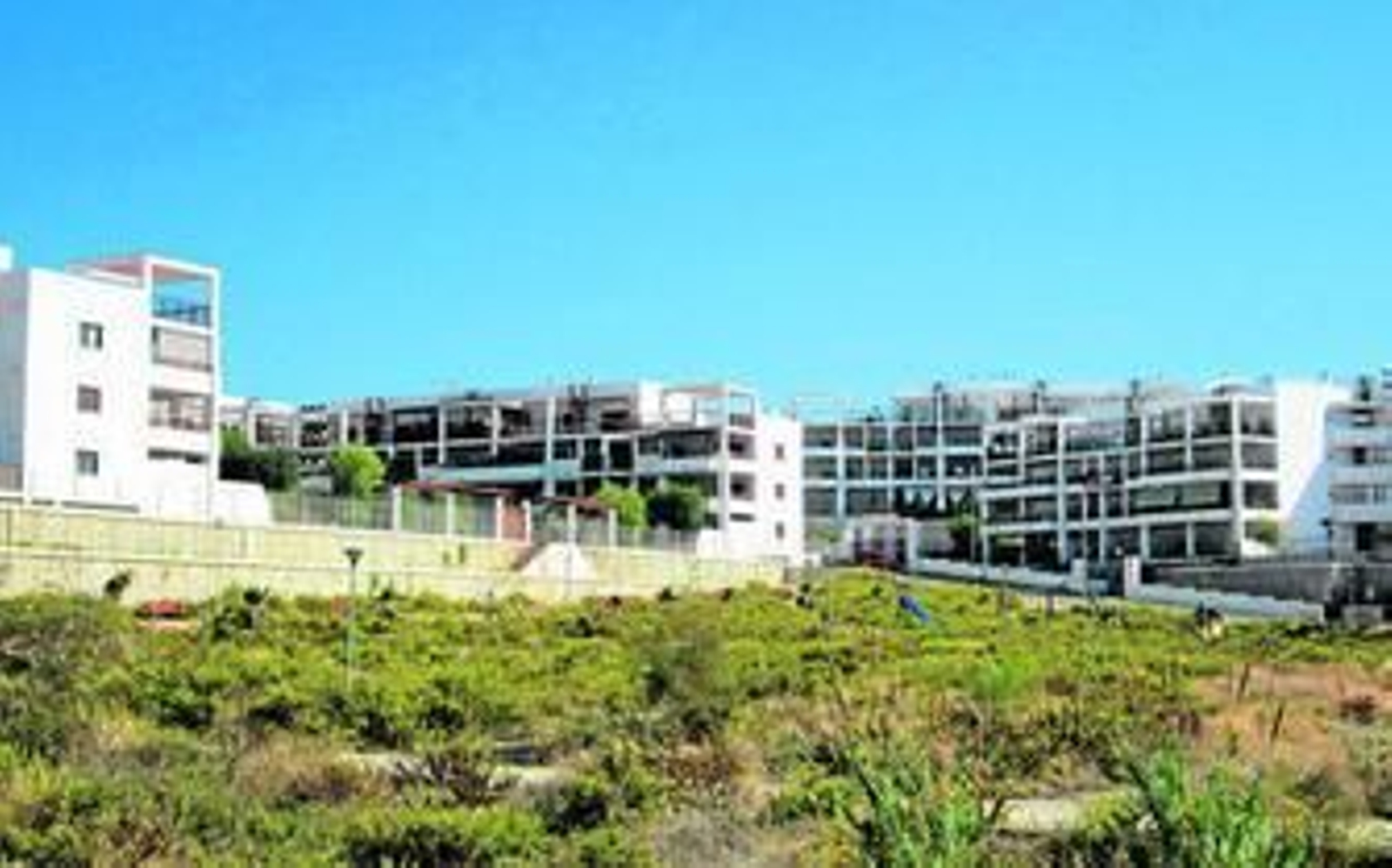 Terrenos en los que se proyecta la construcción del instituto.