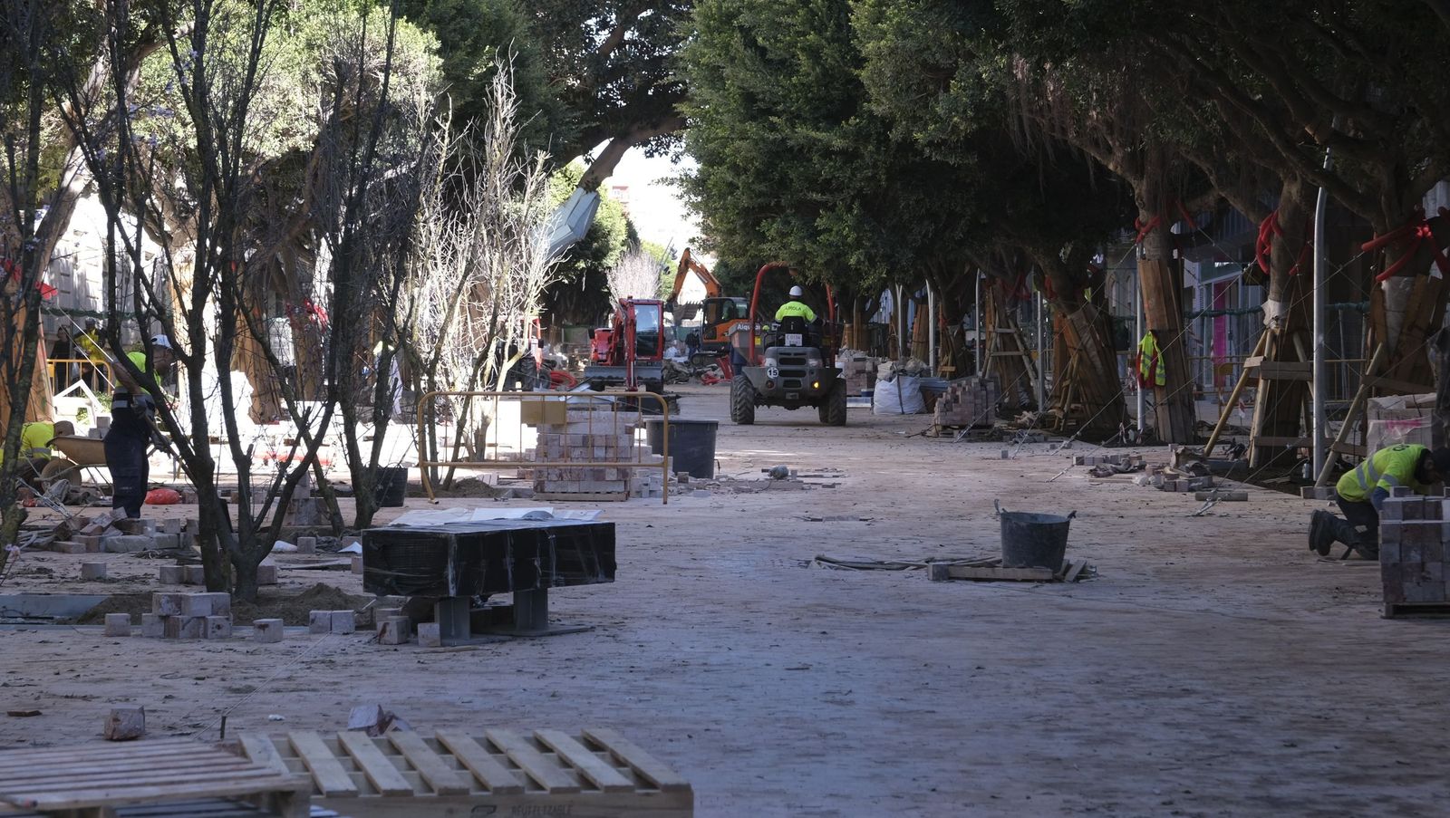 Las imágenes de la modificación de los parterres del Paseo de Almería