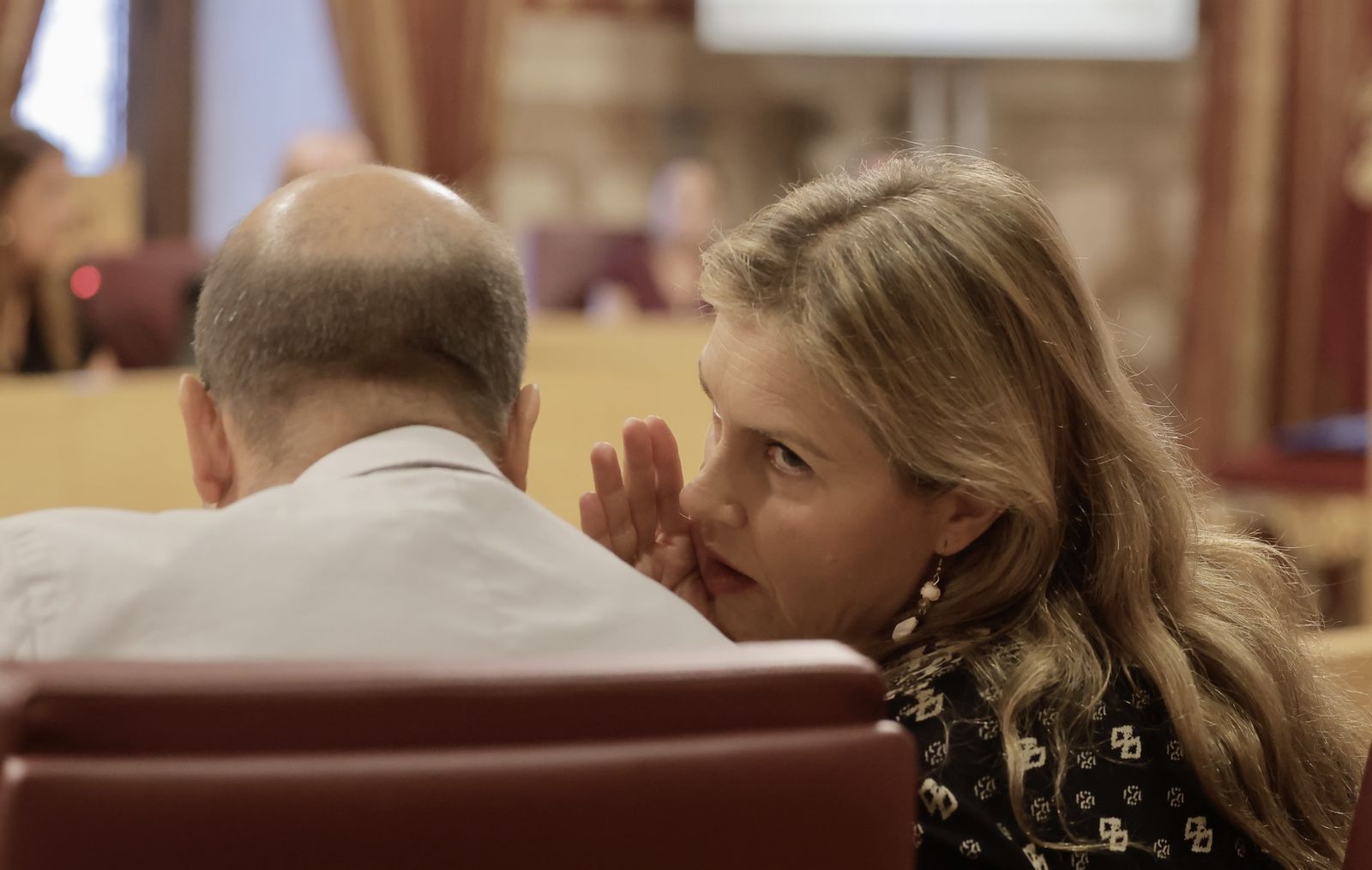 Peláez durante la breve sesión plenaria para aprobar varias modificaciones presupuestarias.