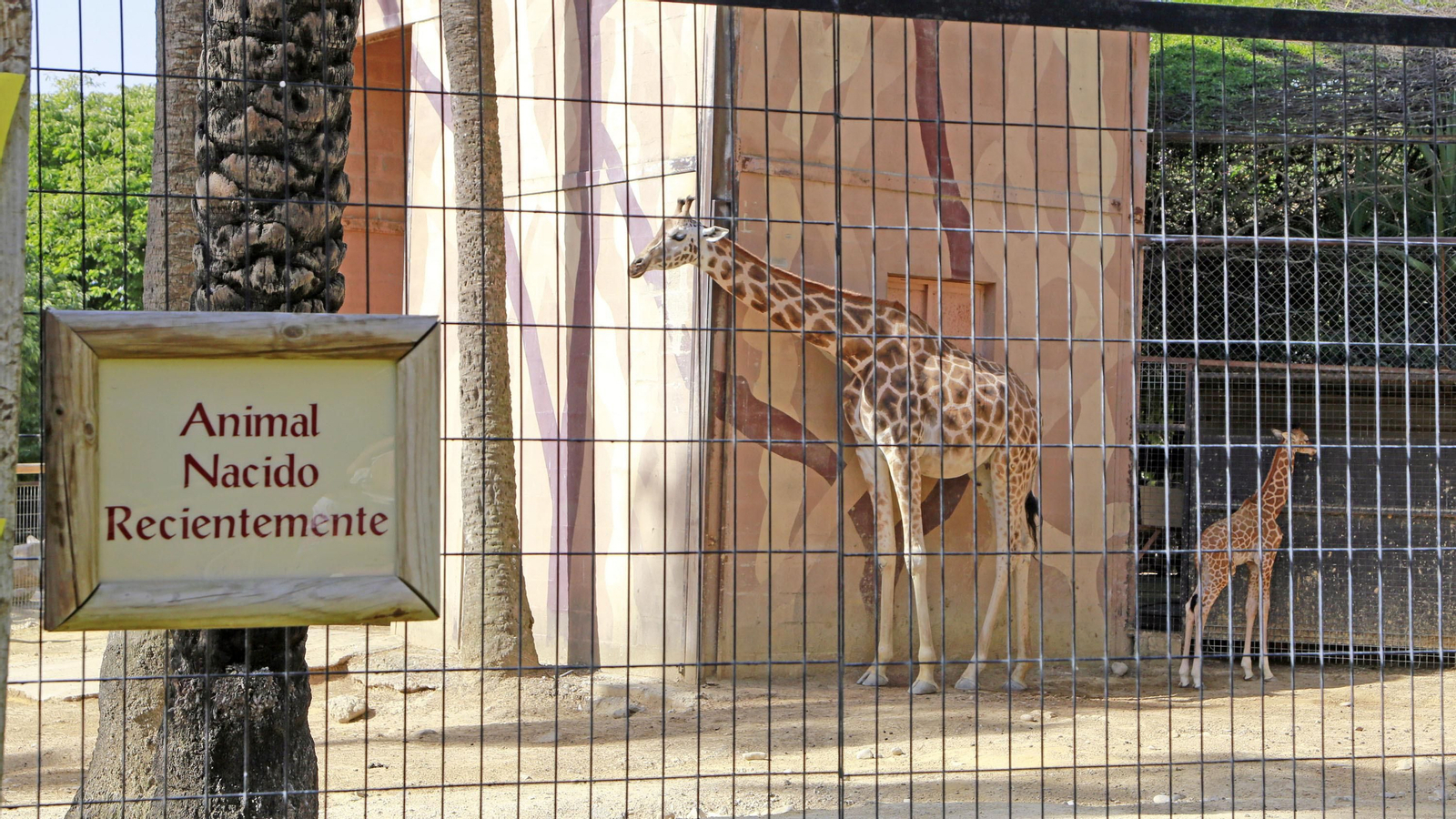 Reapertura del Zoo de Jerez