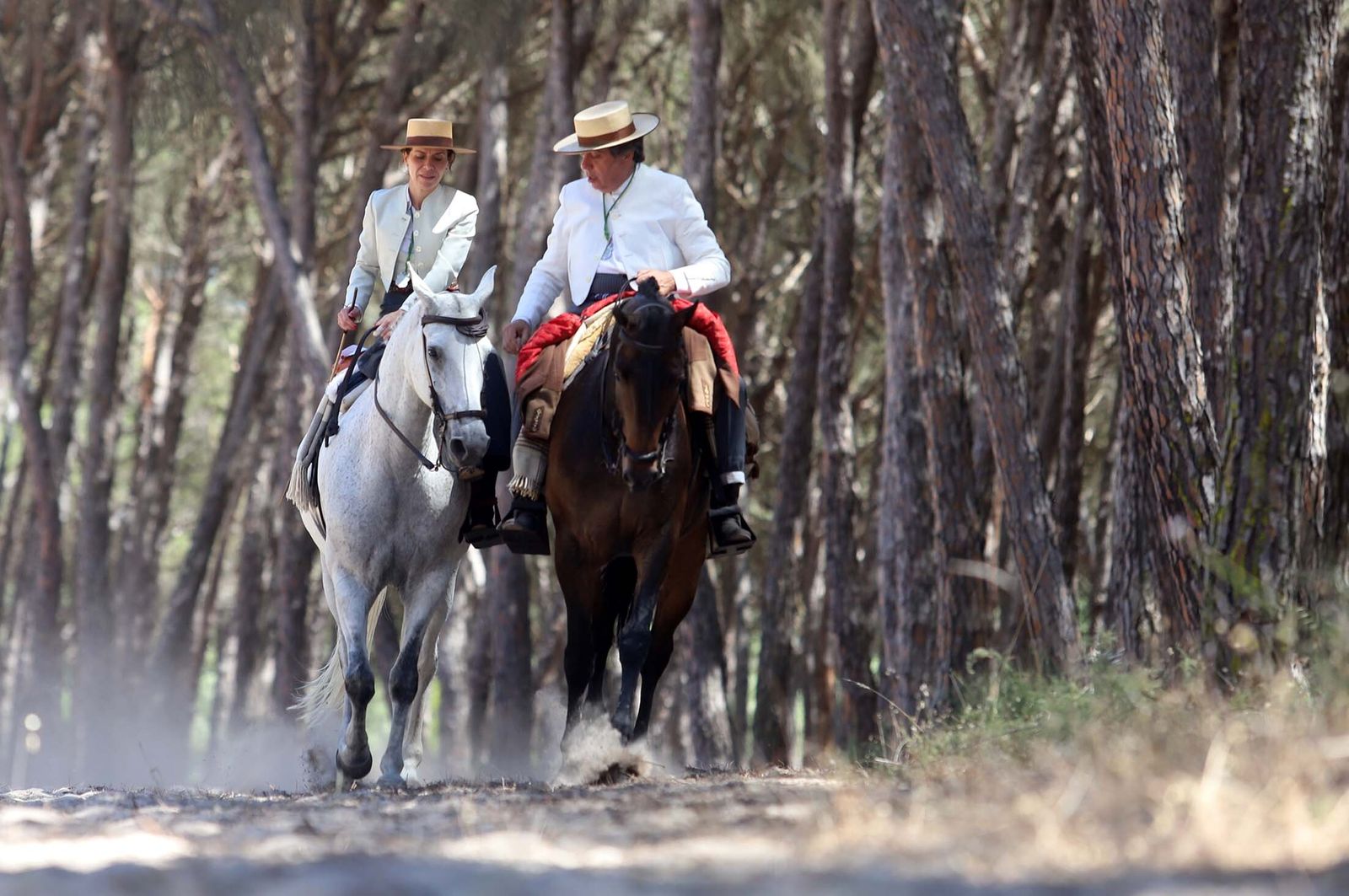 Todos los peregrinos de la Hermandad de Huelva, en imágenes