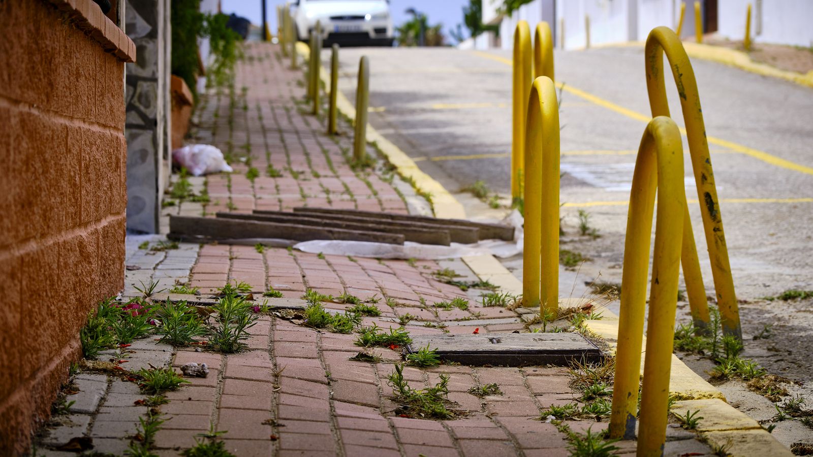 Bolsas de basura y restos de poda, acumuladas en una de las calles de la urbanización.