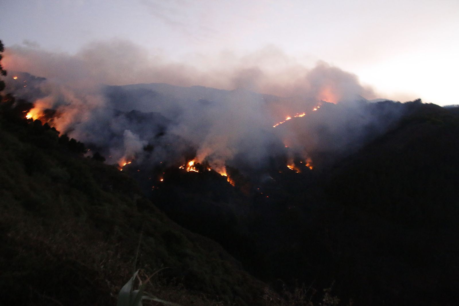 Las imágenes del incendio forestal en Gran Canaria.