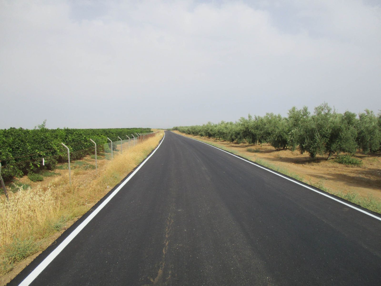El camino rural De Palma, en Fuente Carreteros.