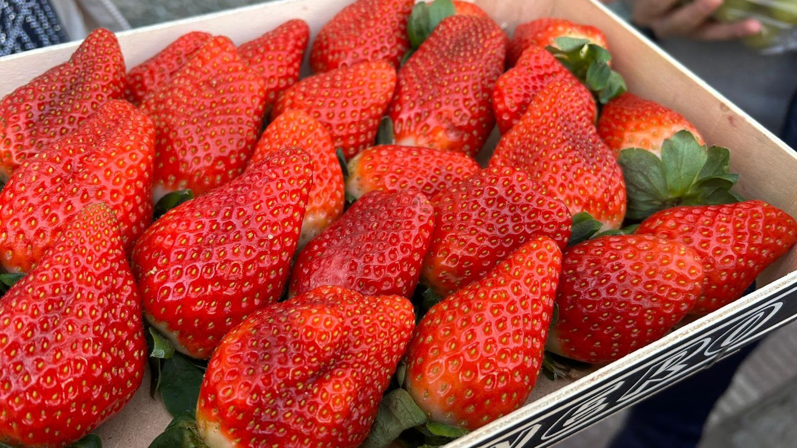 Mercancía de Sur Frutas