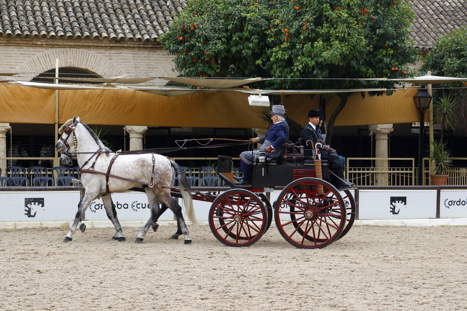 La exhibición de enganches en Caballerizas Reales de Córdoba, en imágenes