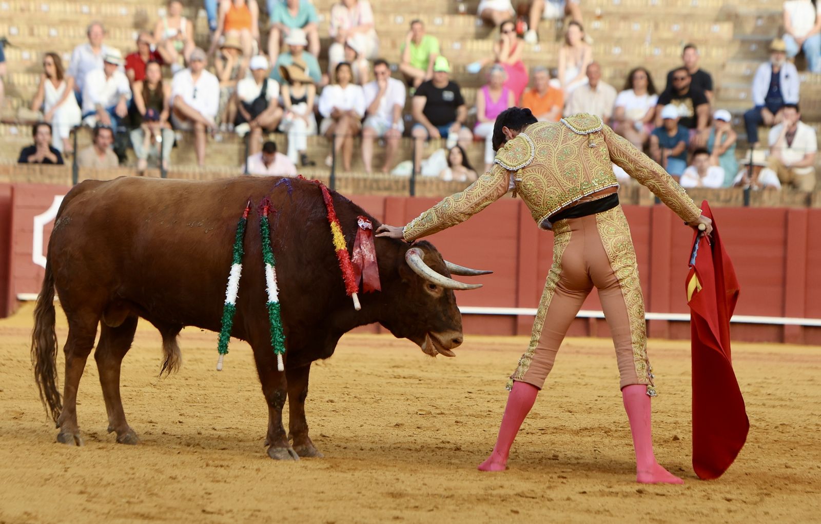 Novillada El Melli, Aarón Palacios y Manuel Jesús  Carrión